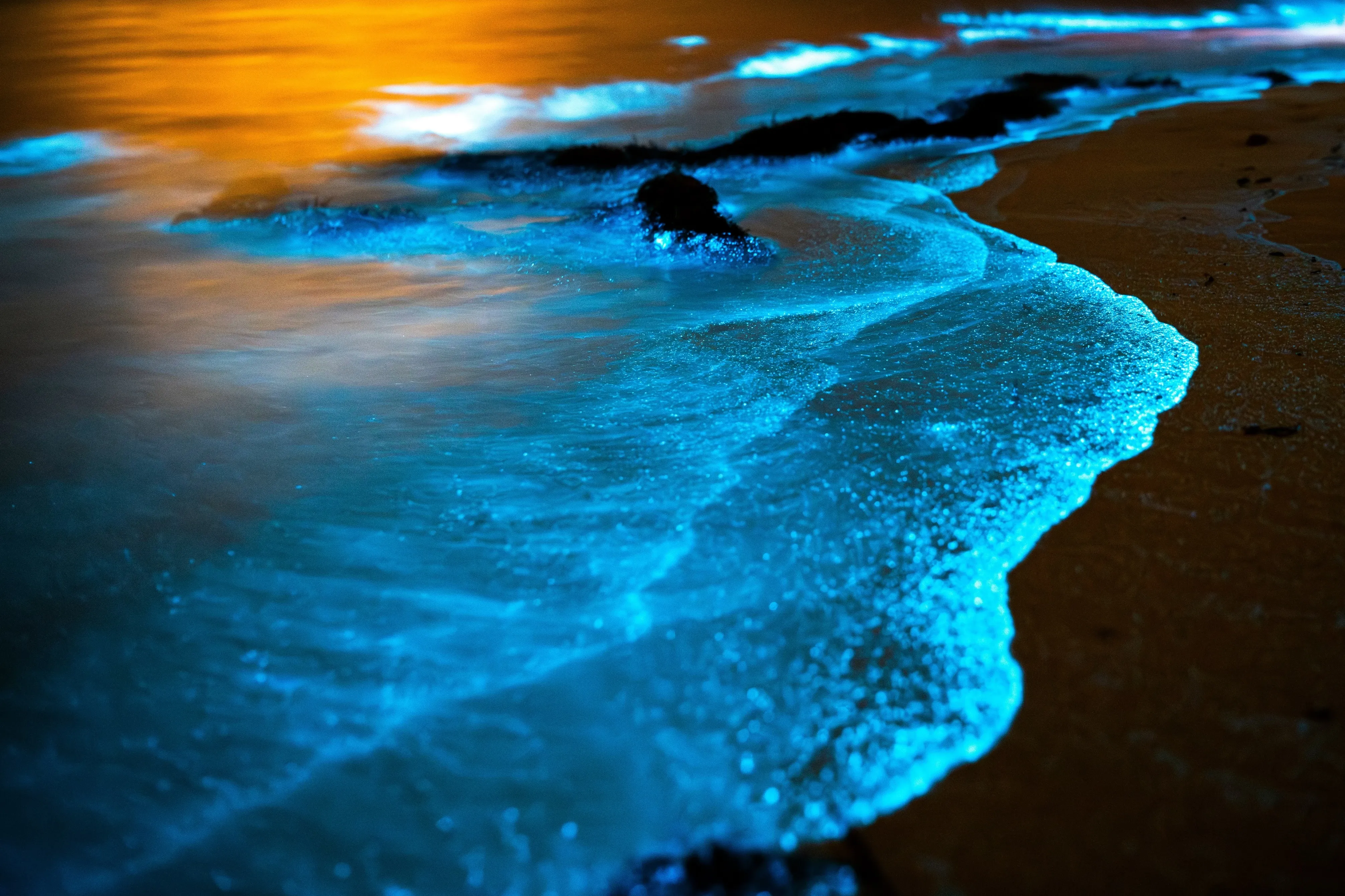 leuchtendes Plankton am Strand