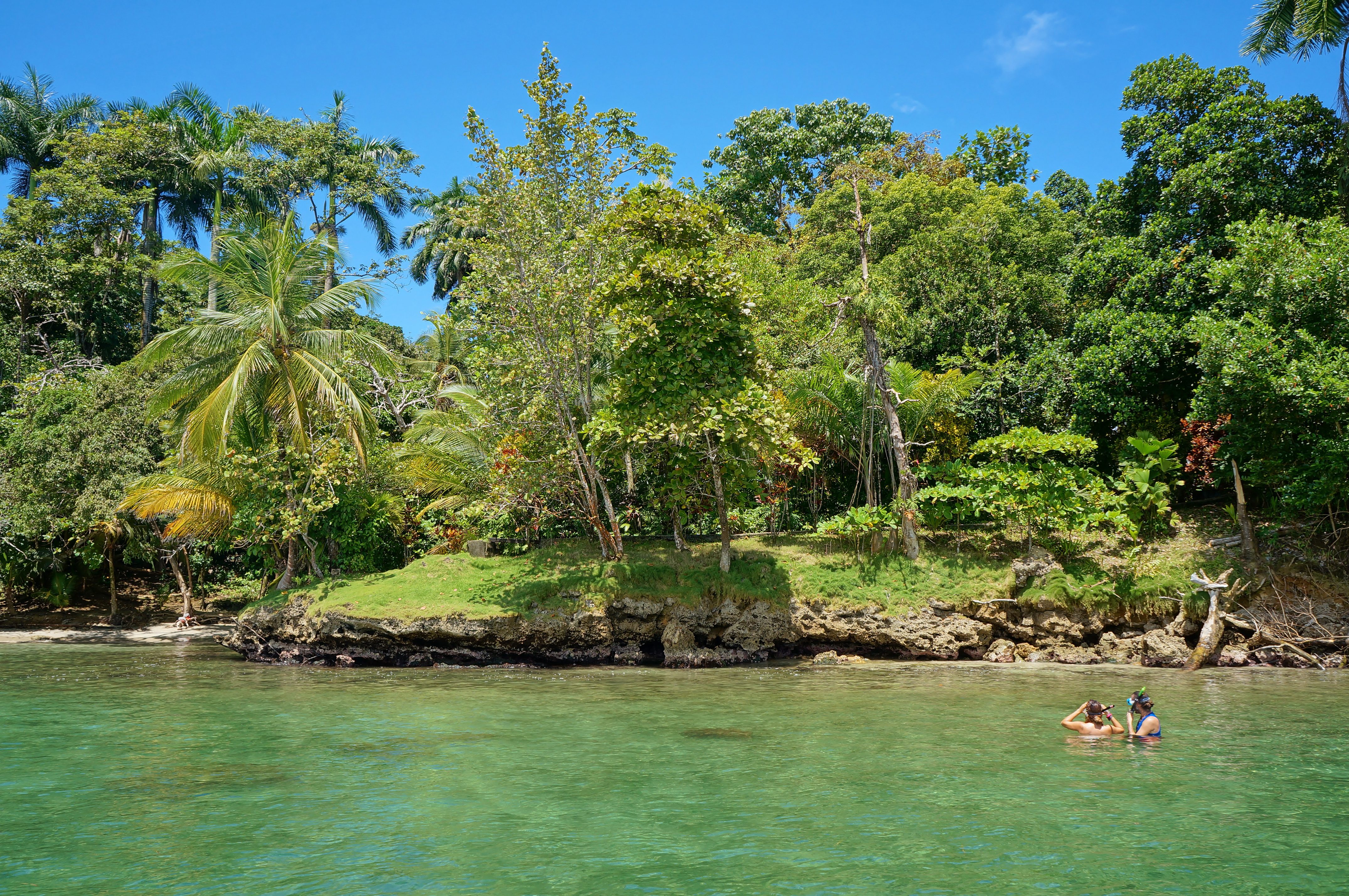 bocas del toro snorkelling