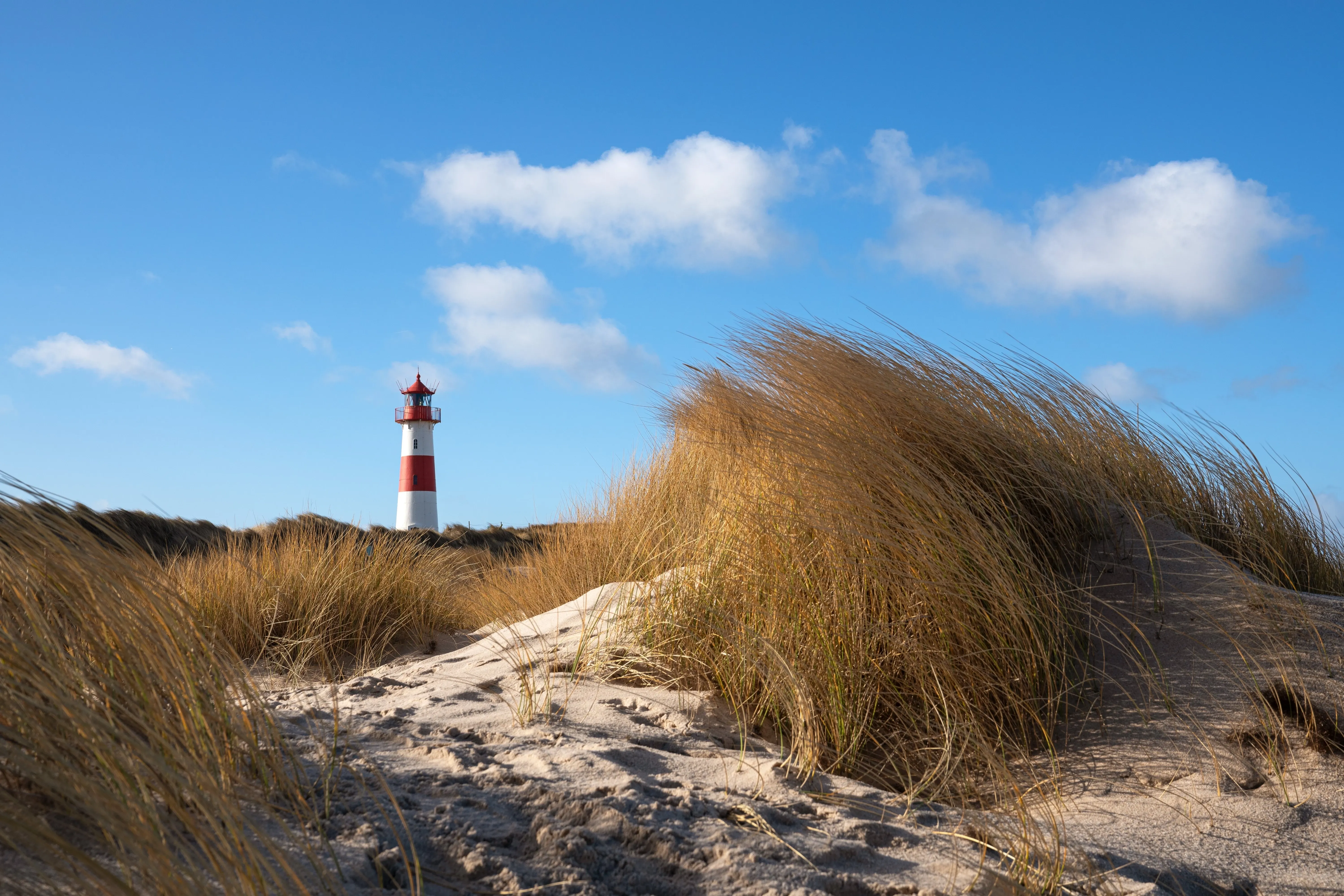 Leuchtturm am Strand in den Dünen
