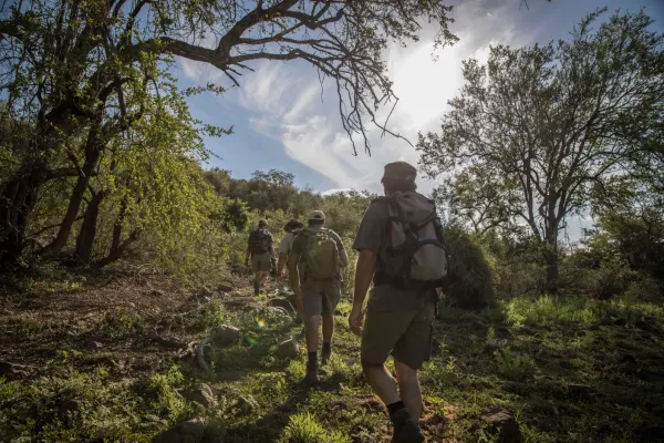 People walking african bush