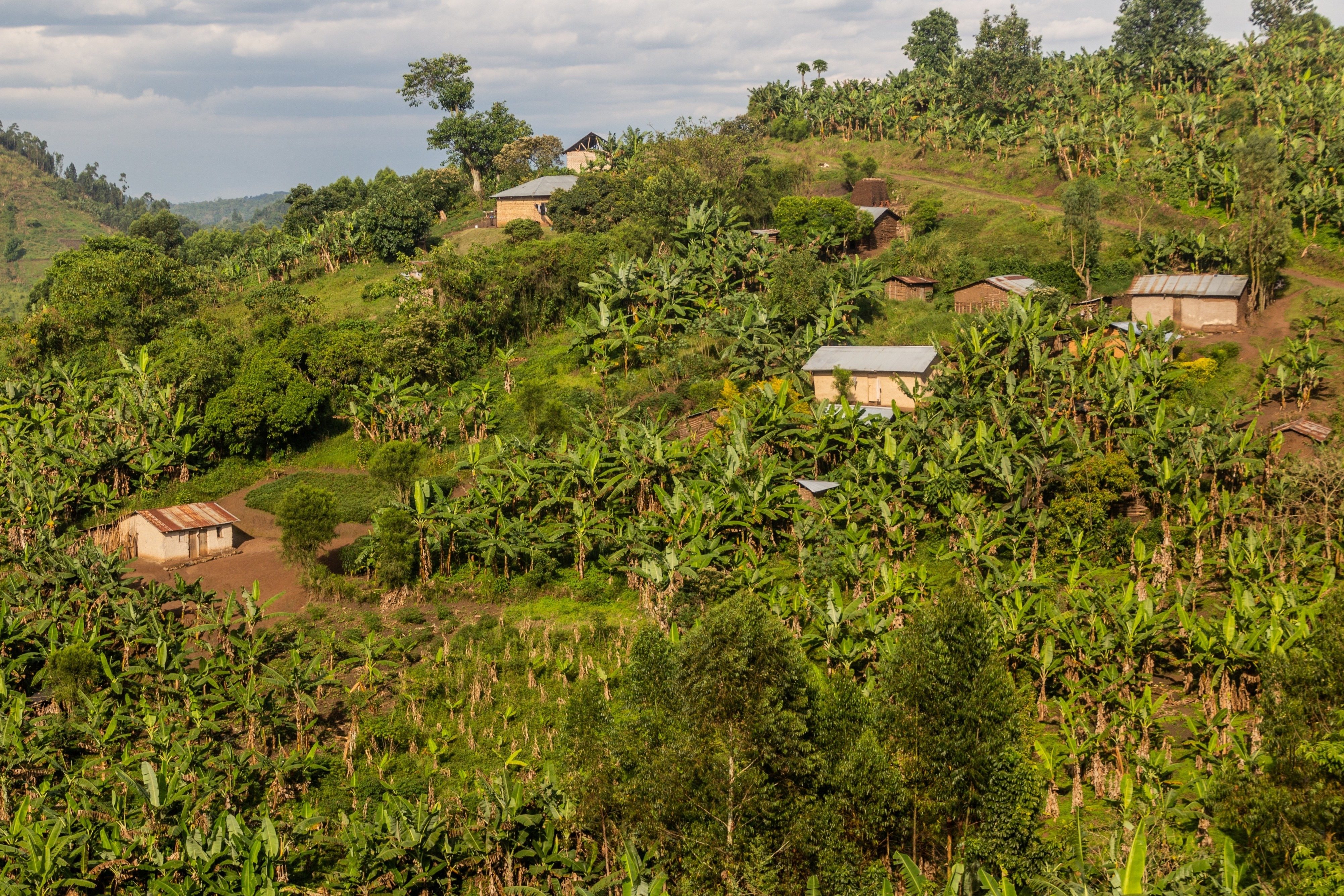 view of uganda