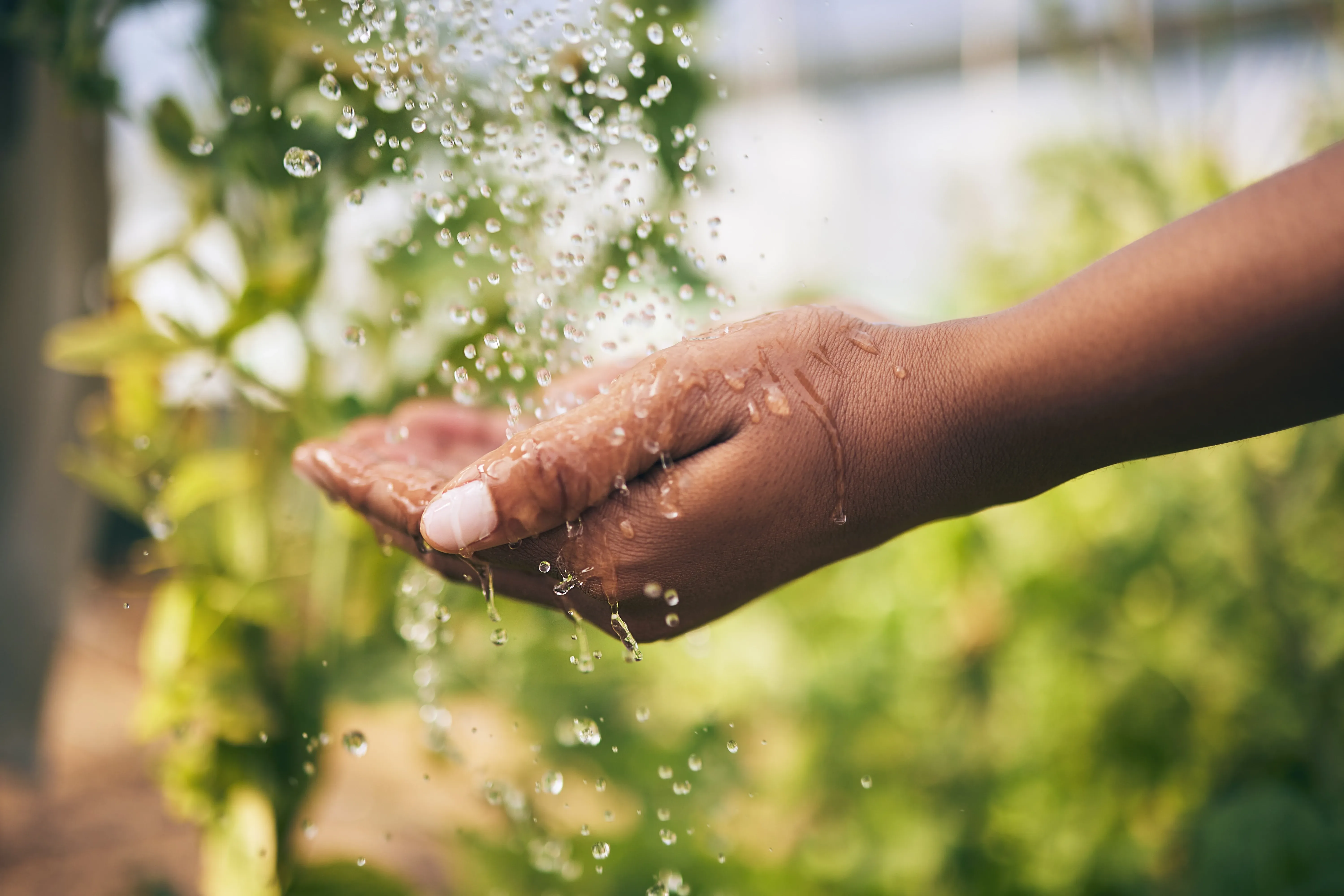 A hand is held under a jet of water in nature