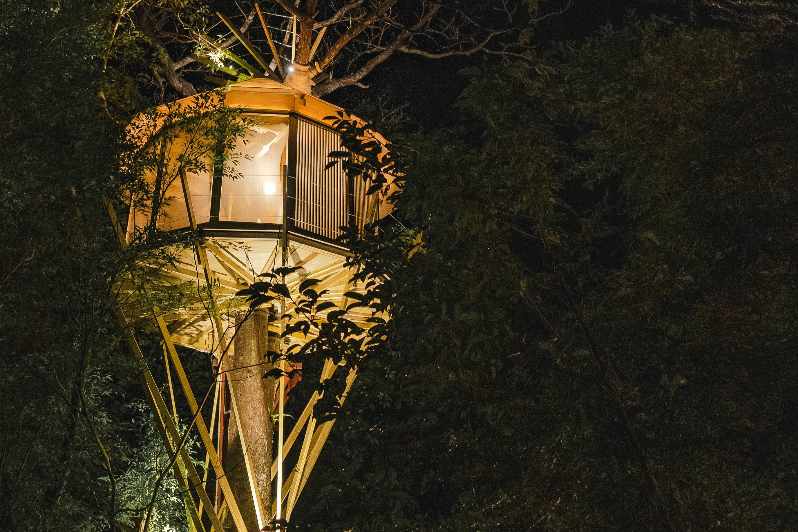 goldene trophäe baumhaus