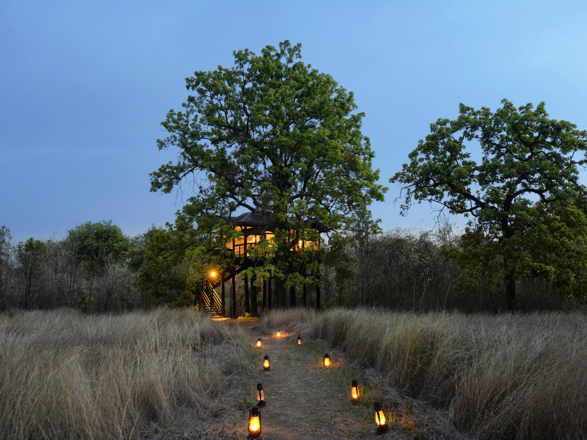 Path to the tree house