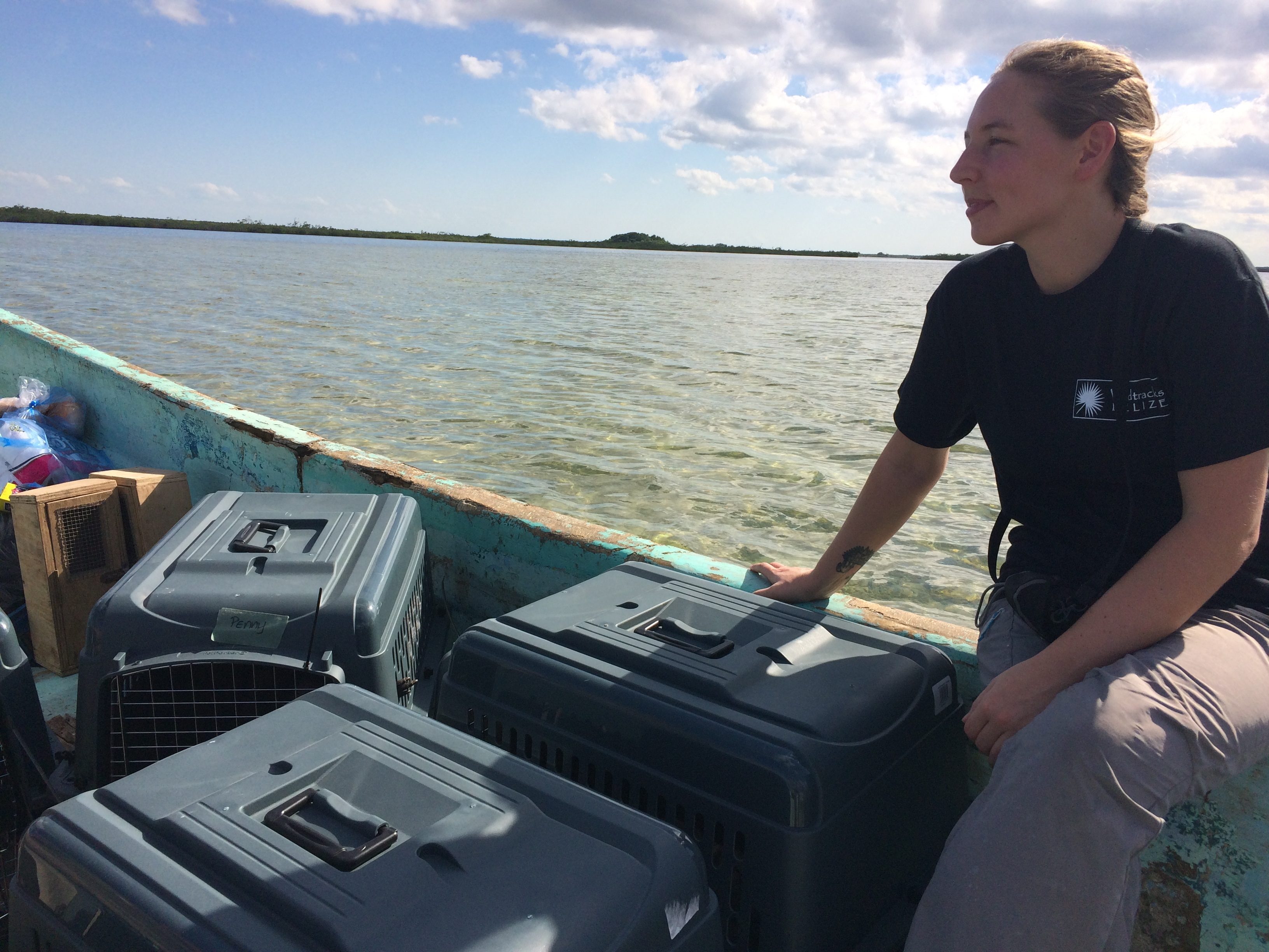 Lorraine on her way to wildlife scene