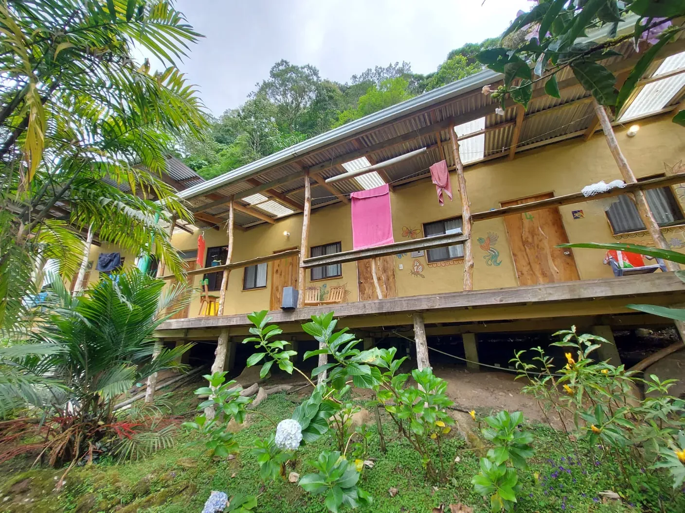 Freiwilligenprojekt Waldschutz, Costa Rica