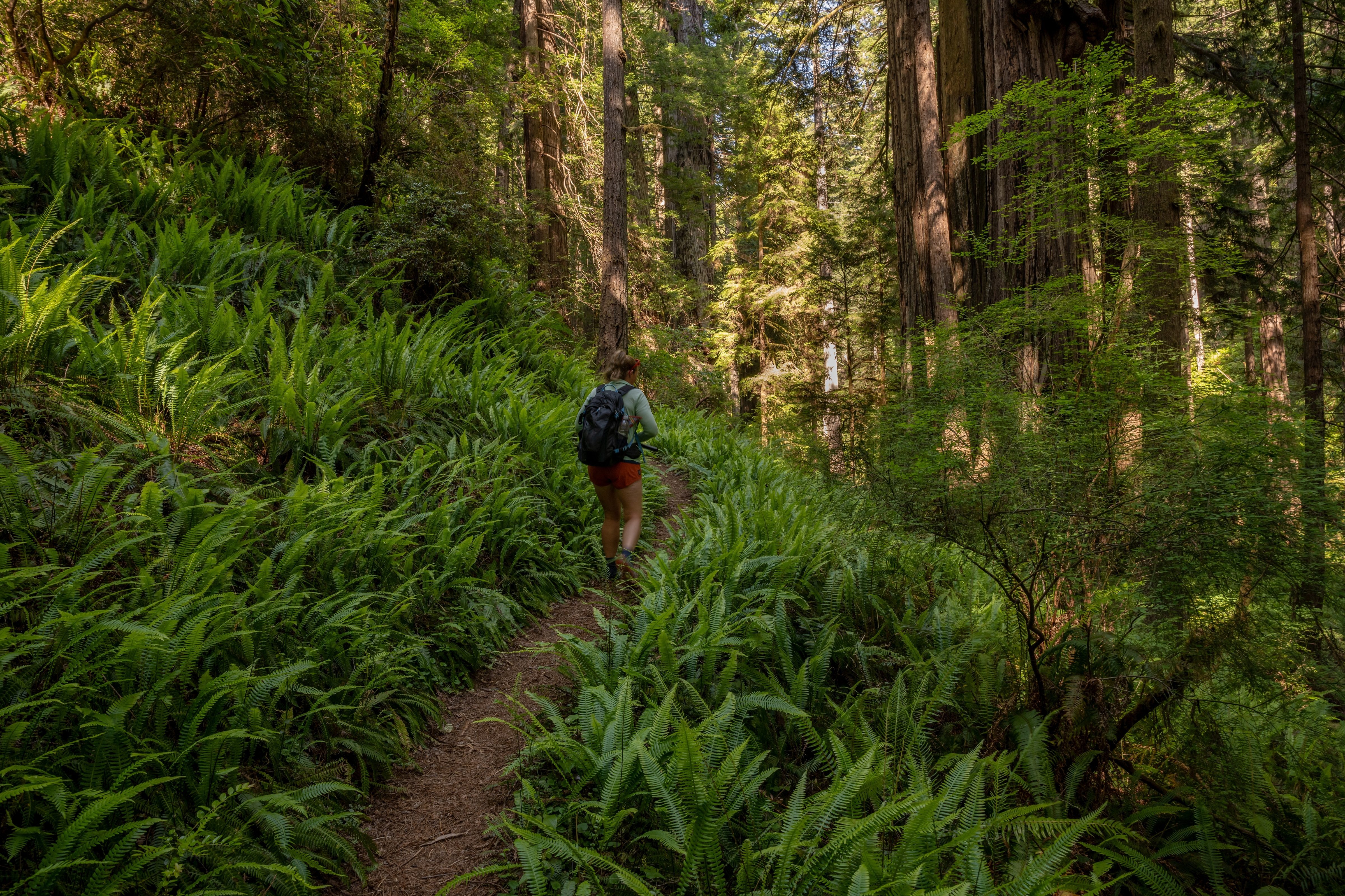 How to overcome Nature Deficit Disorder?