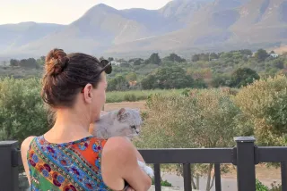 Chile - Wildnis und Natur Highlights