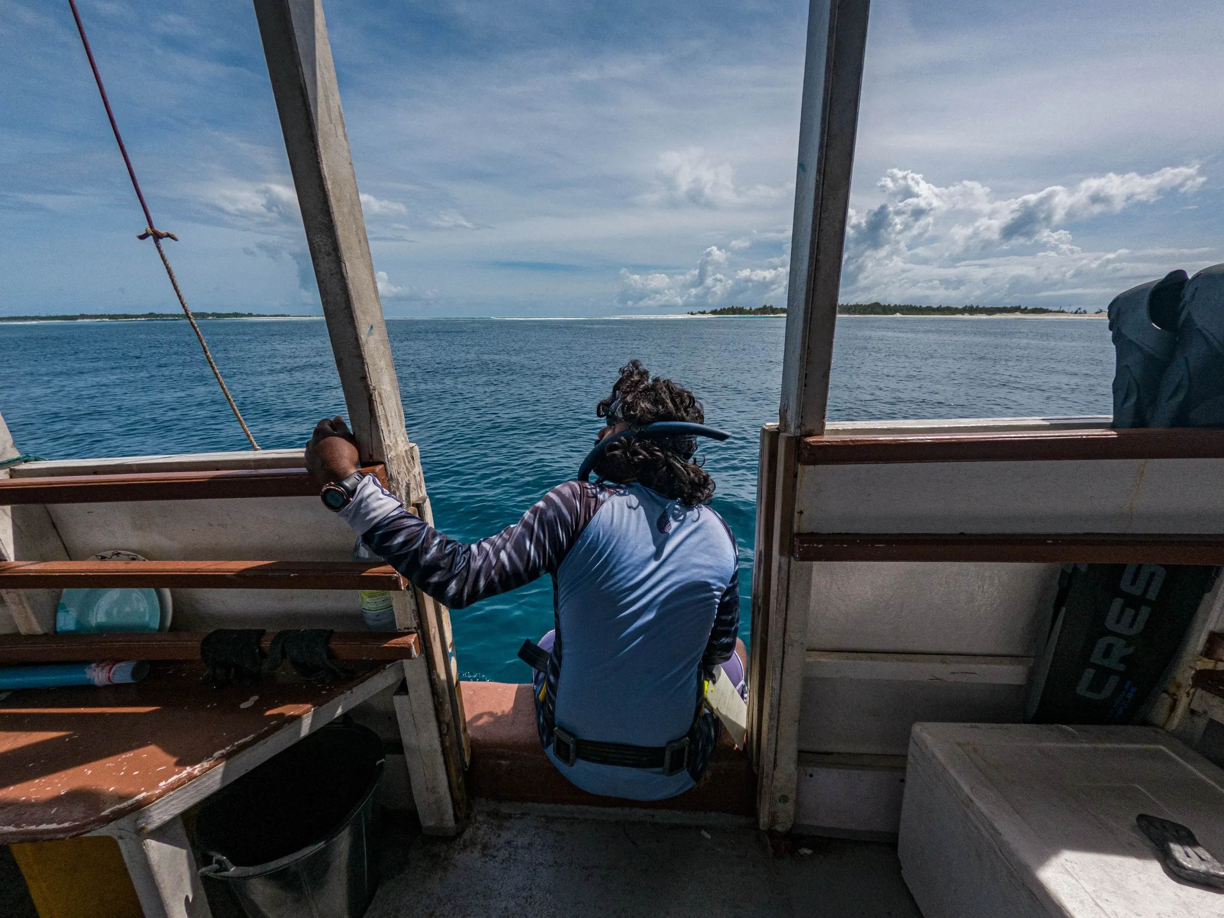 Volunteering Whale Shark Conservation, Maldives