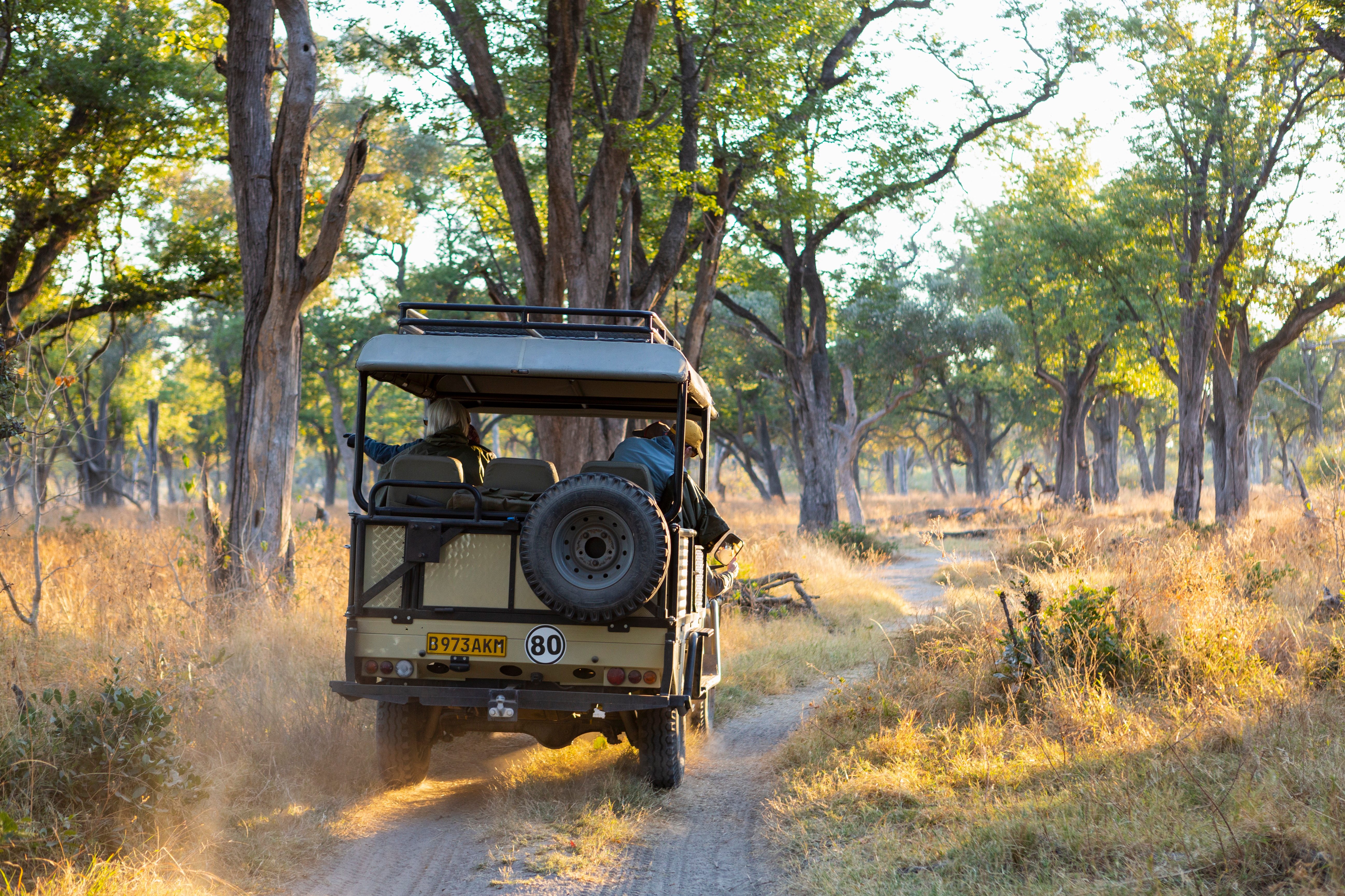 safari vehicle