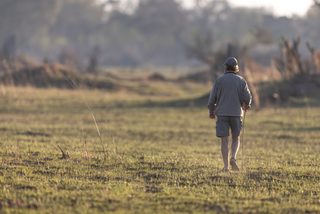 Timbavati Elefantentrack mit Alan, Südafrika