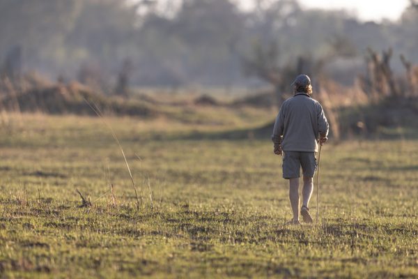 Our partner: Alan McSmith Safaris