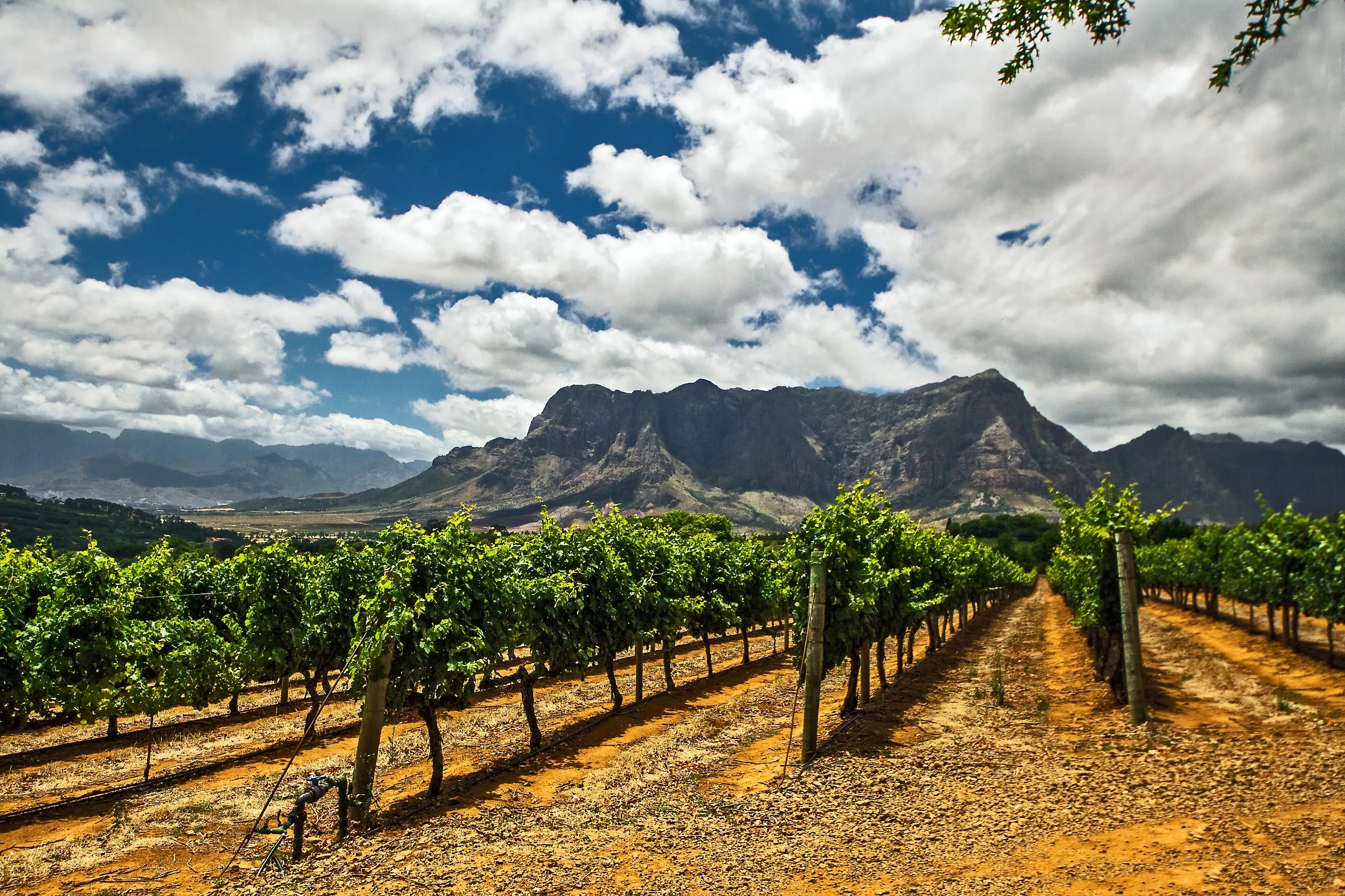 franschhoek south africa