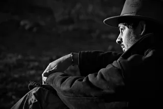 A closer look at the ecological role of birds