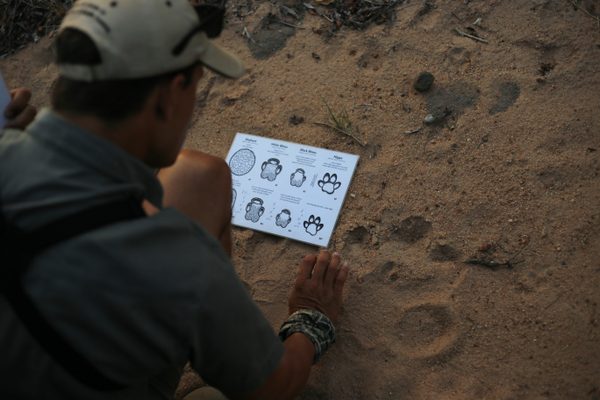 Online Tracking Course, Southern Africa