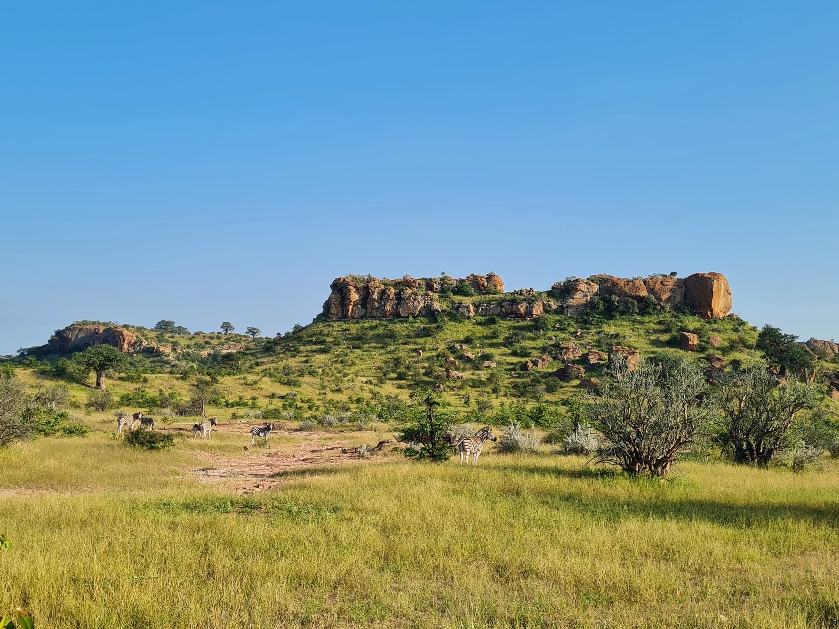 mapungubwe national park