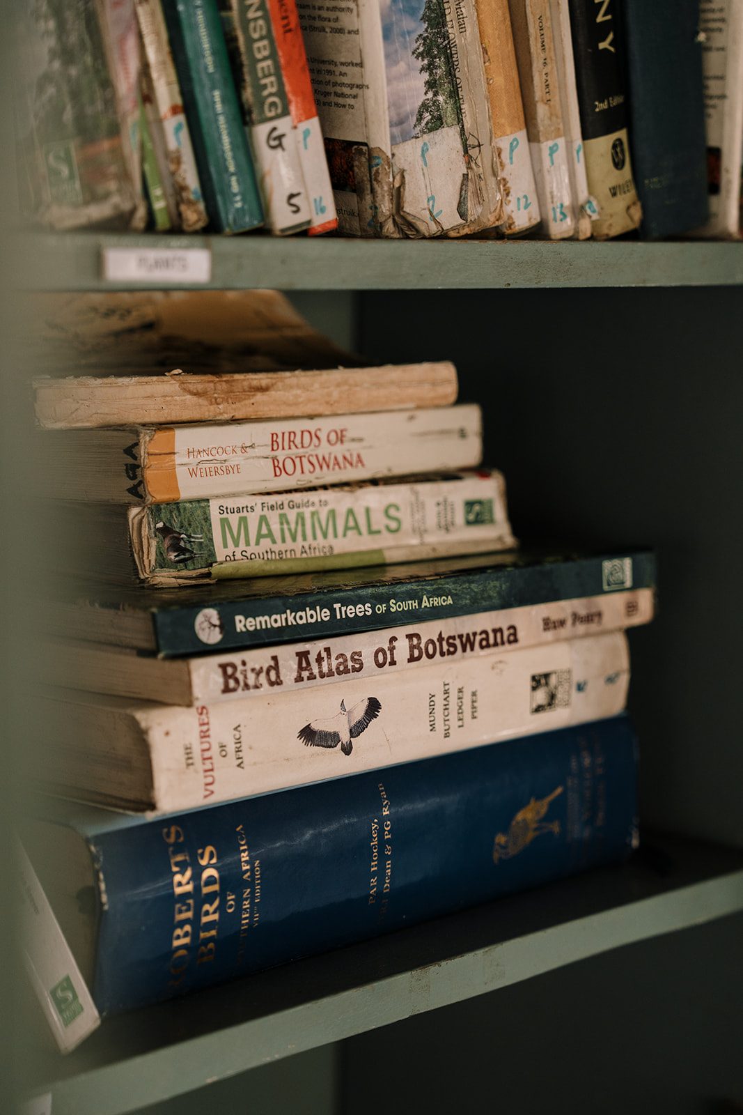 Our partner: African Guide Academy