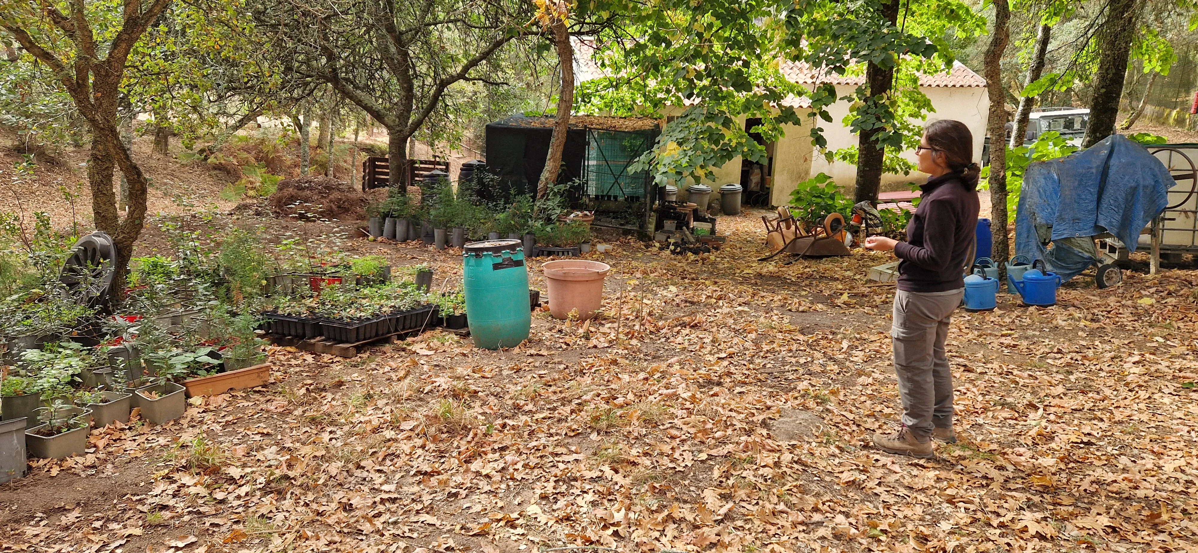 wolf conservation headquarters