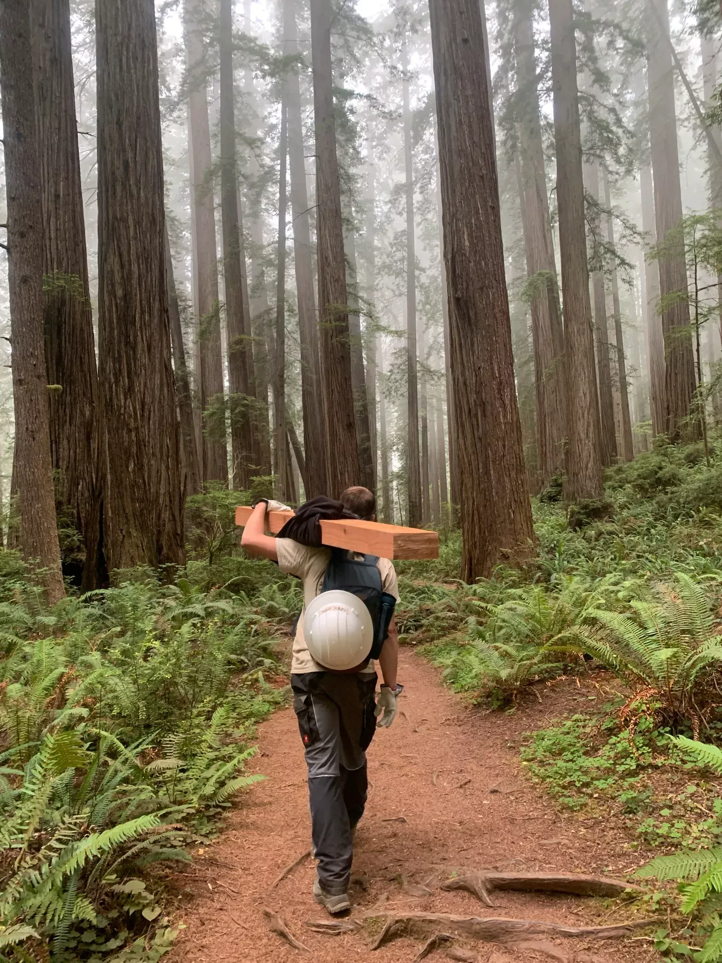 Person trägt Baumstamm durch Wald