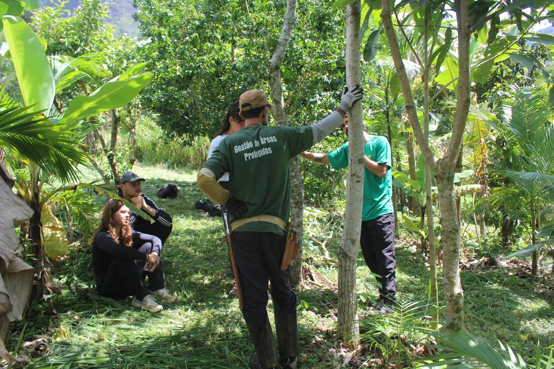 Brazil forest conservation volunteers