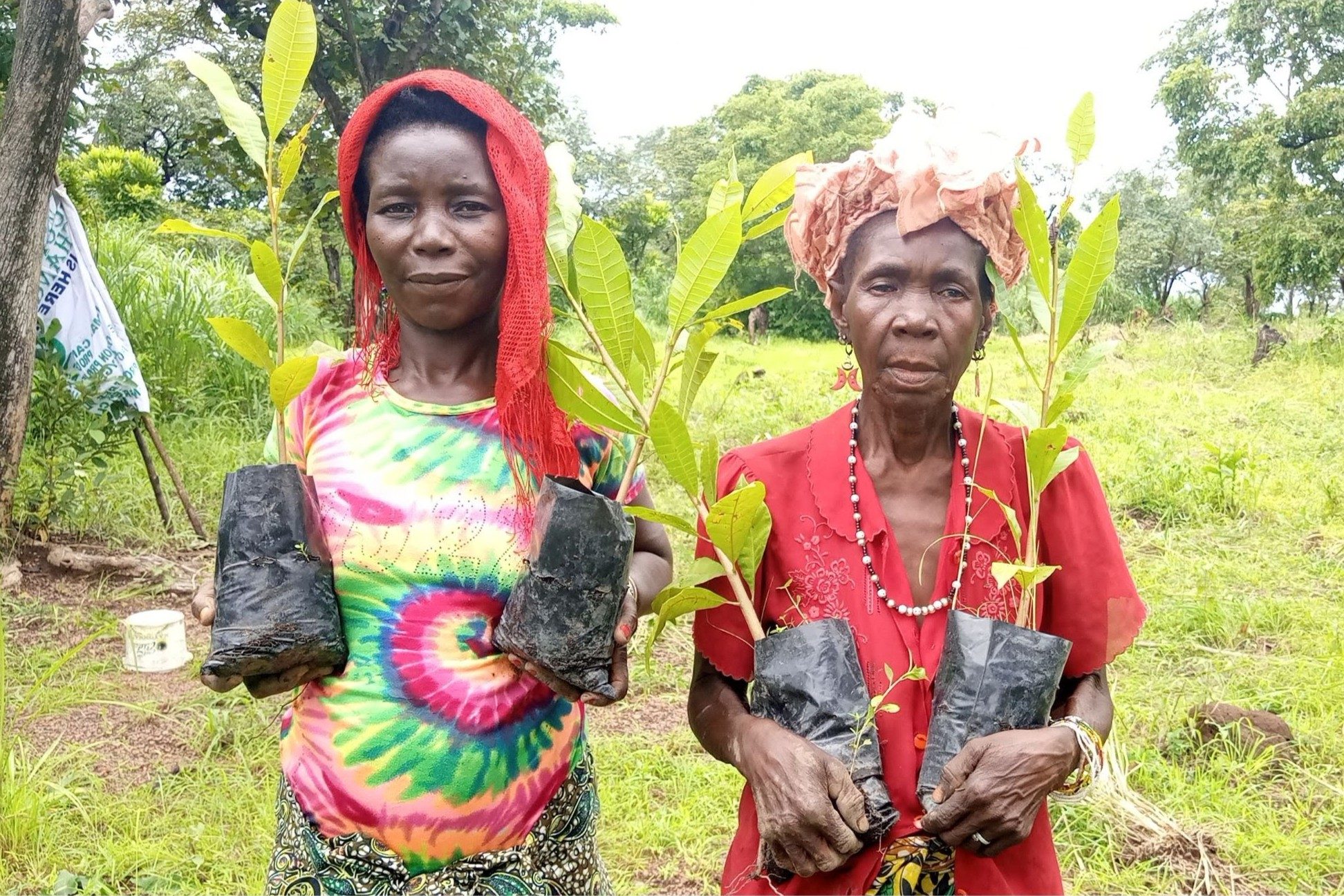 Gemeindemitglieder halten Pflanzen