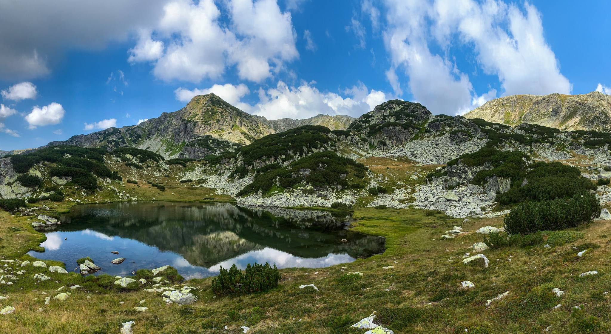 Our partner: Rewilding Europe