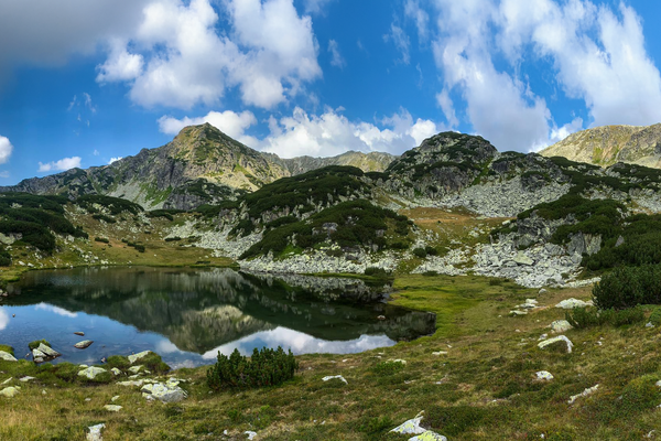 Our partner: Rewilding Europe