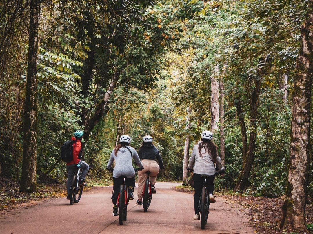Iguazu National Park