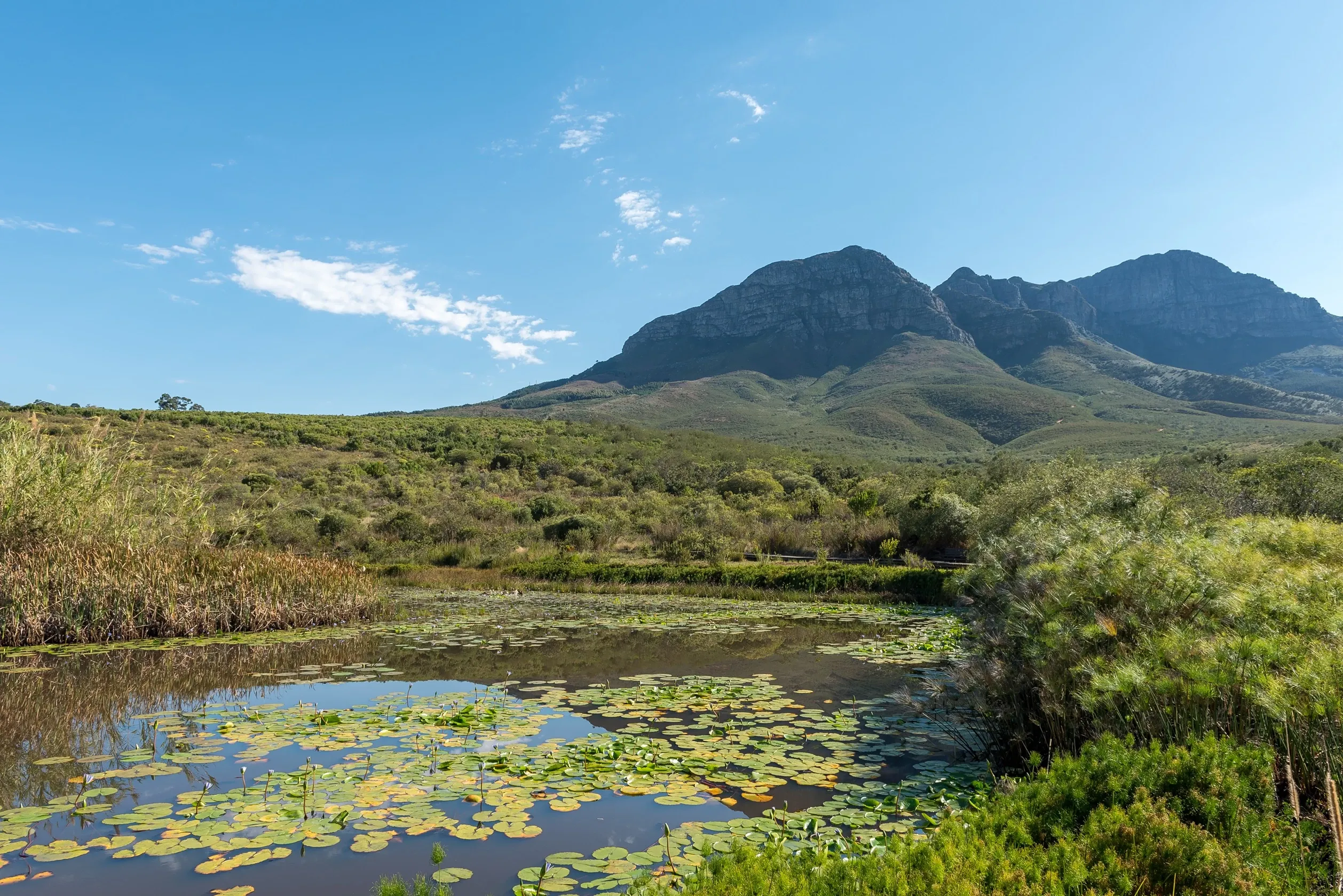 Helderberg nature reserve