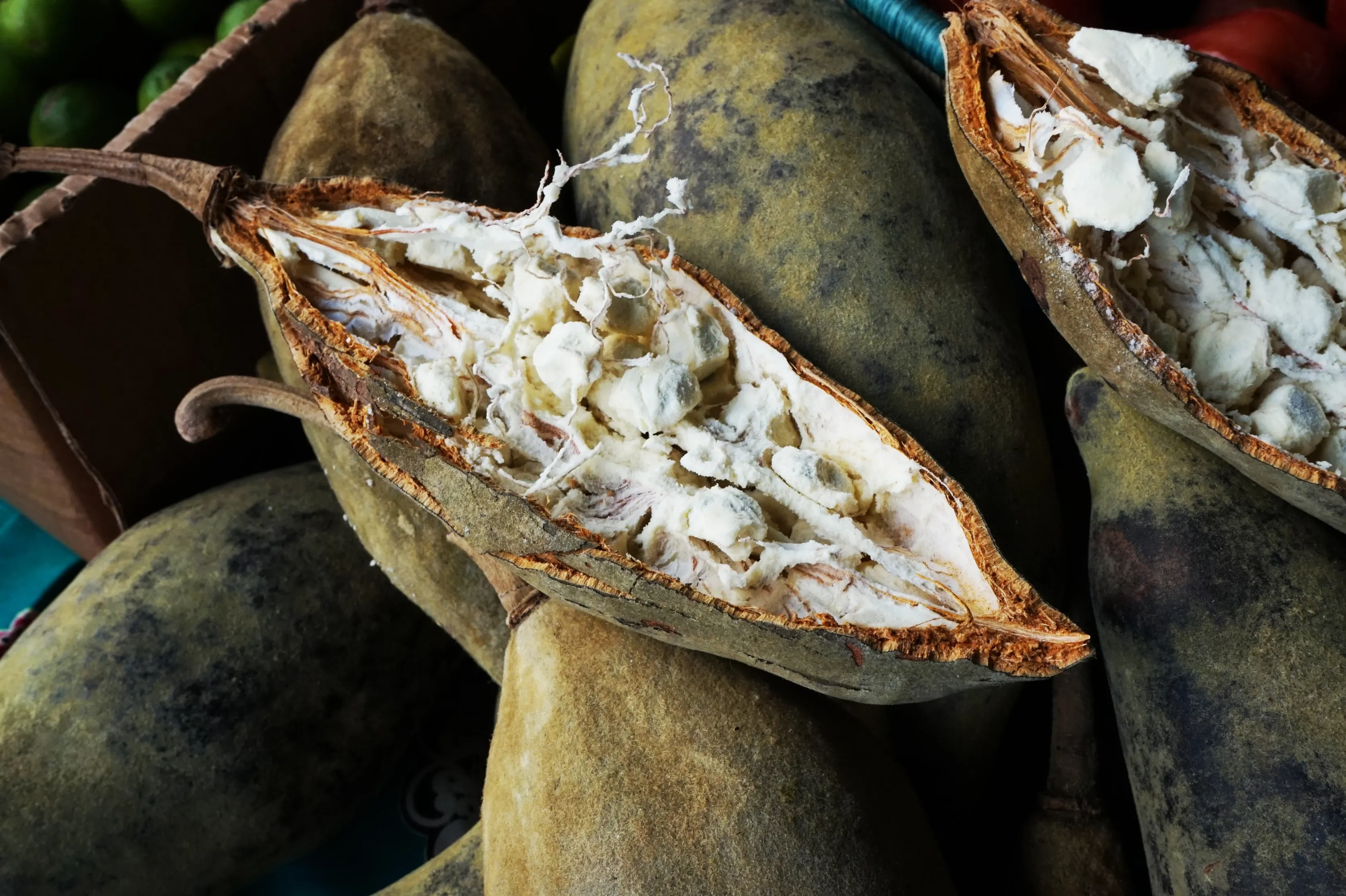 Opened Baobab fruit