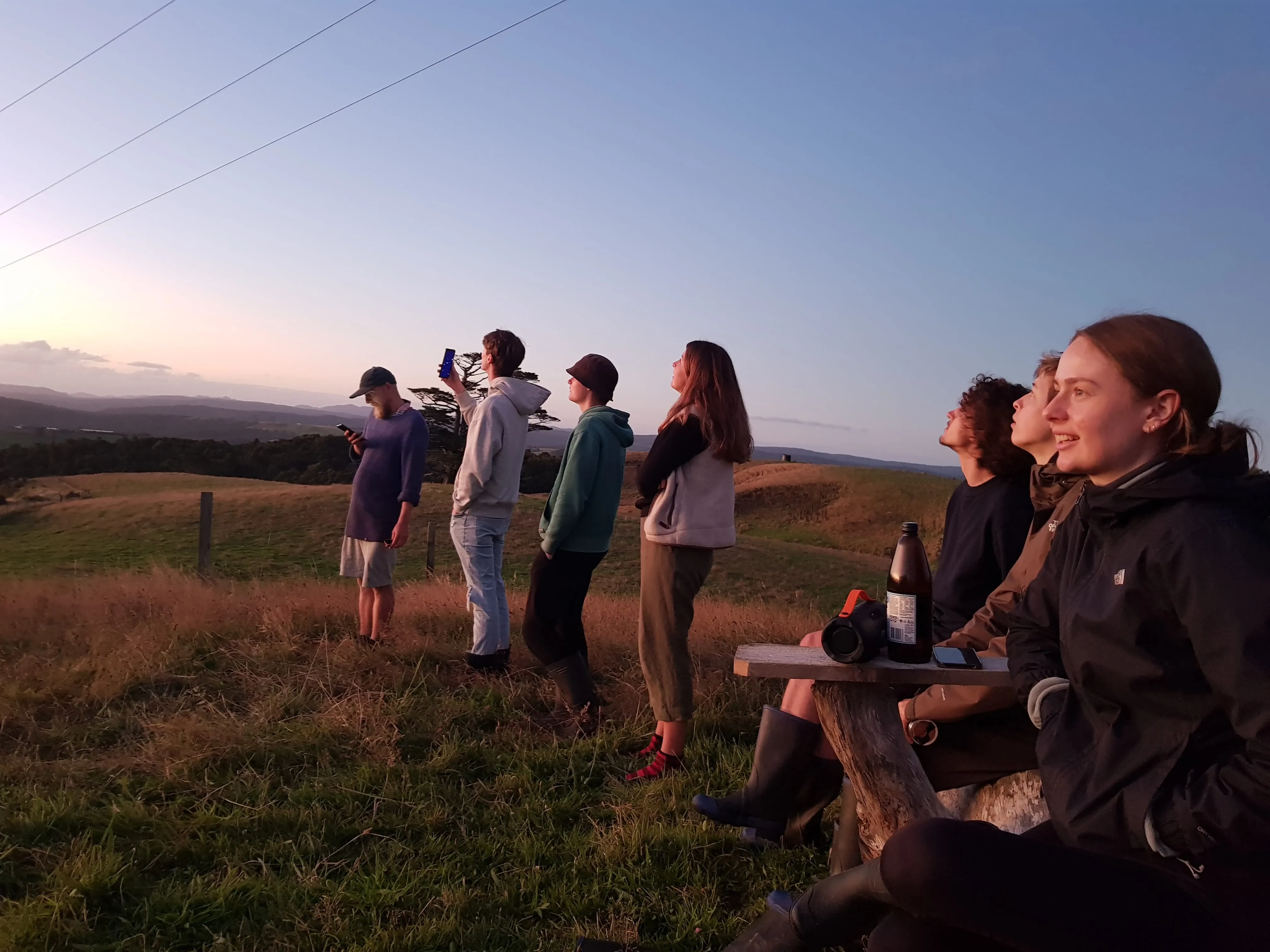 Freiwilligenprojekt Naturschutz Kauri Küste, Neuseeland
