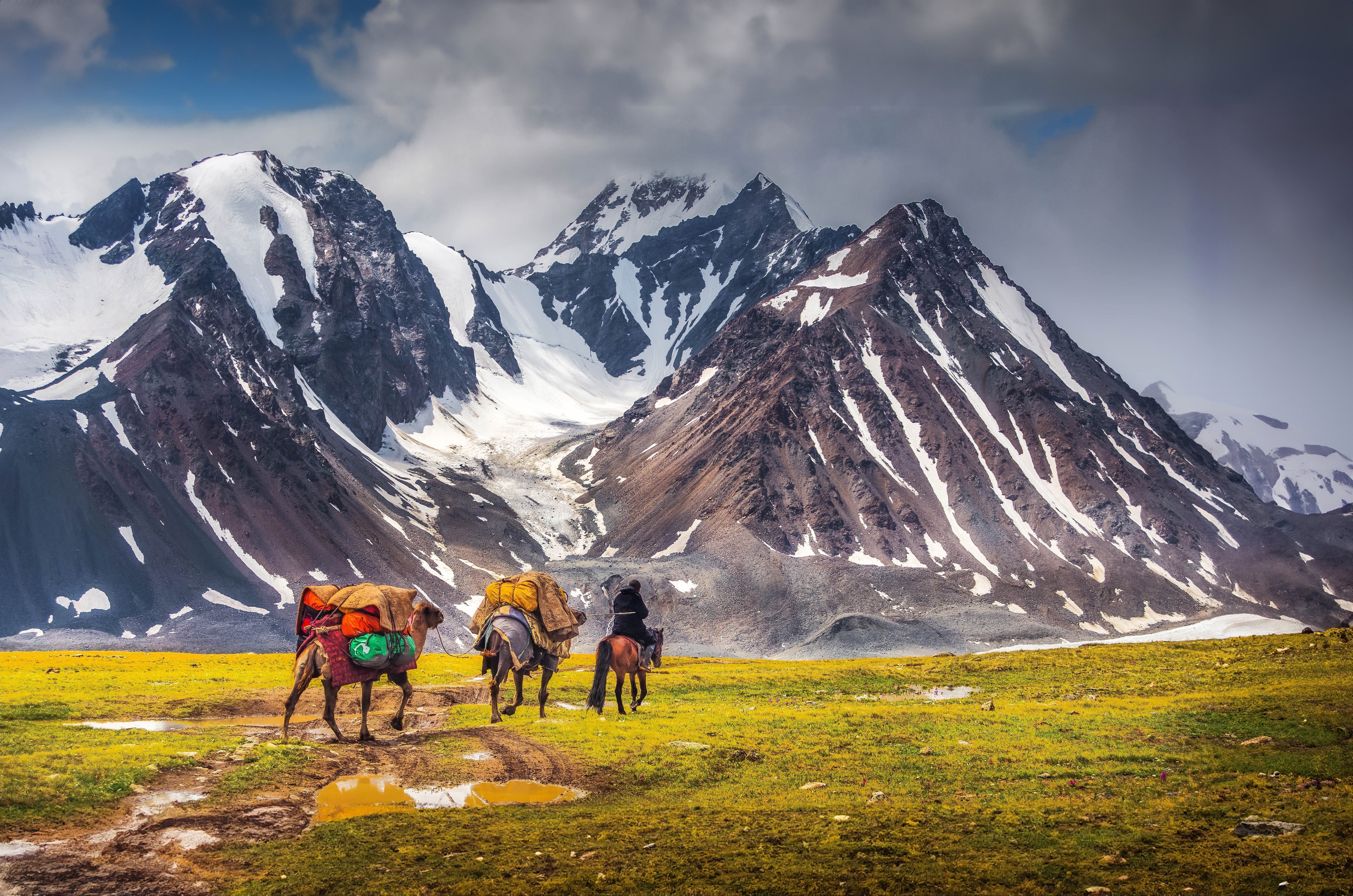 Tracing the Silk Road