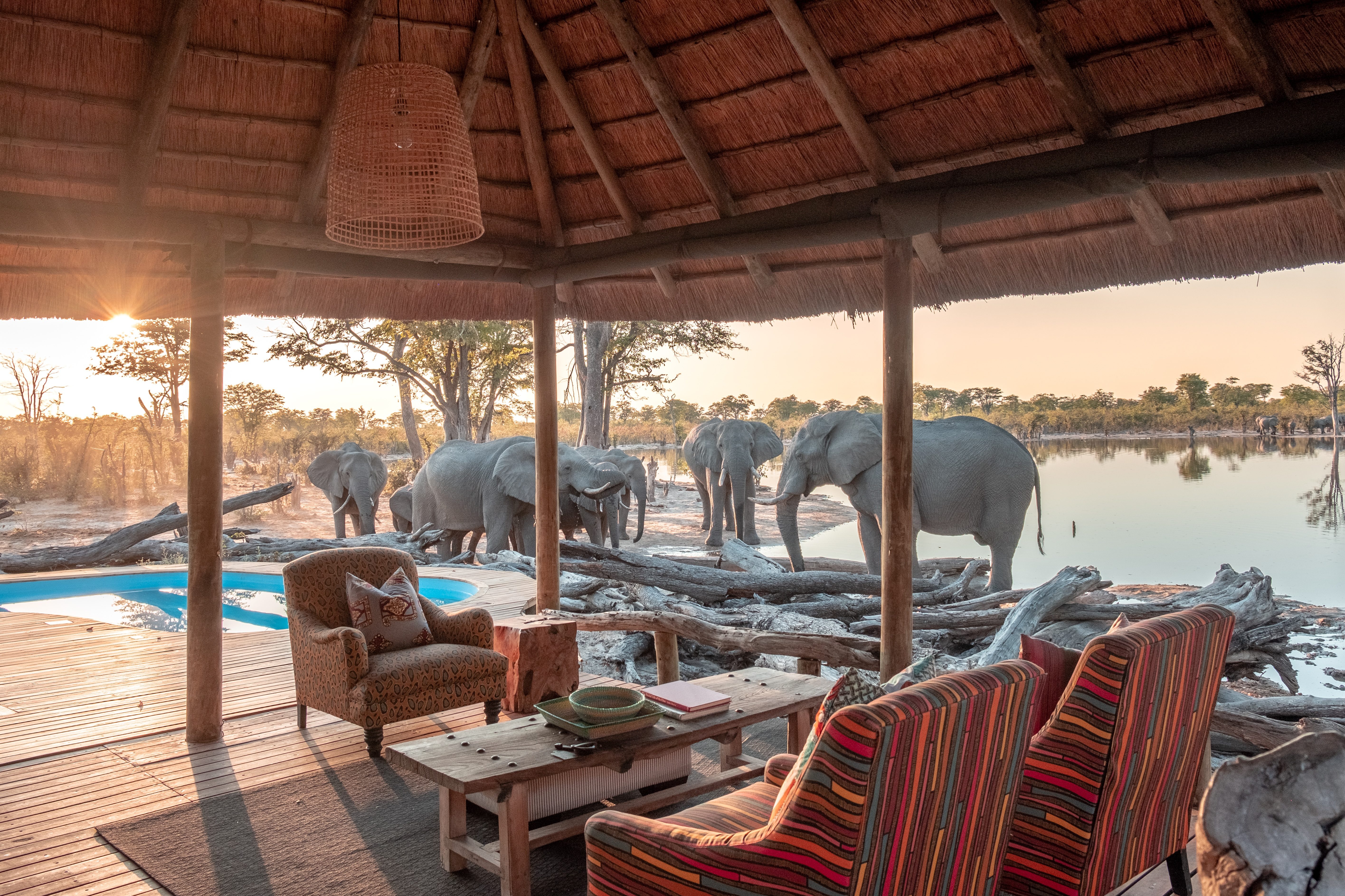 elephant pan camp