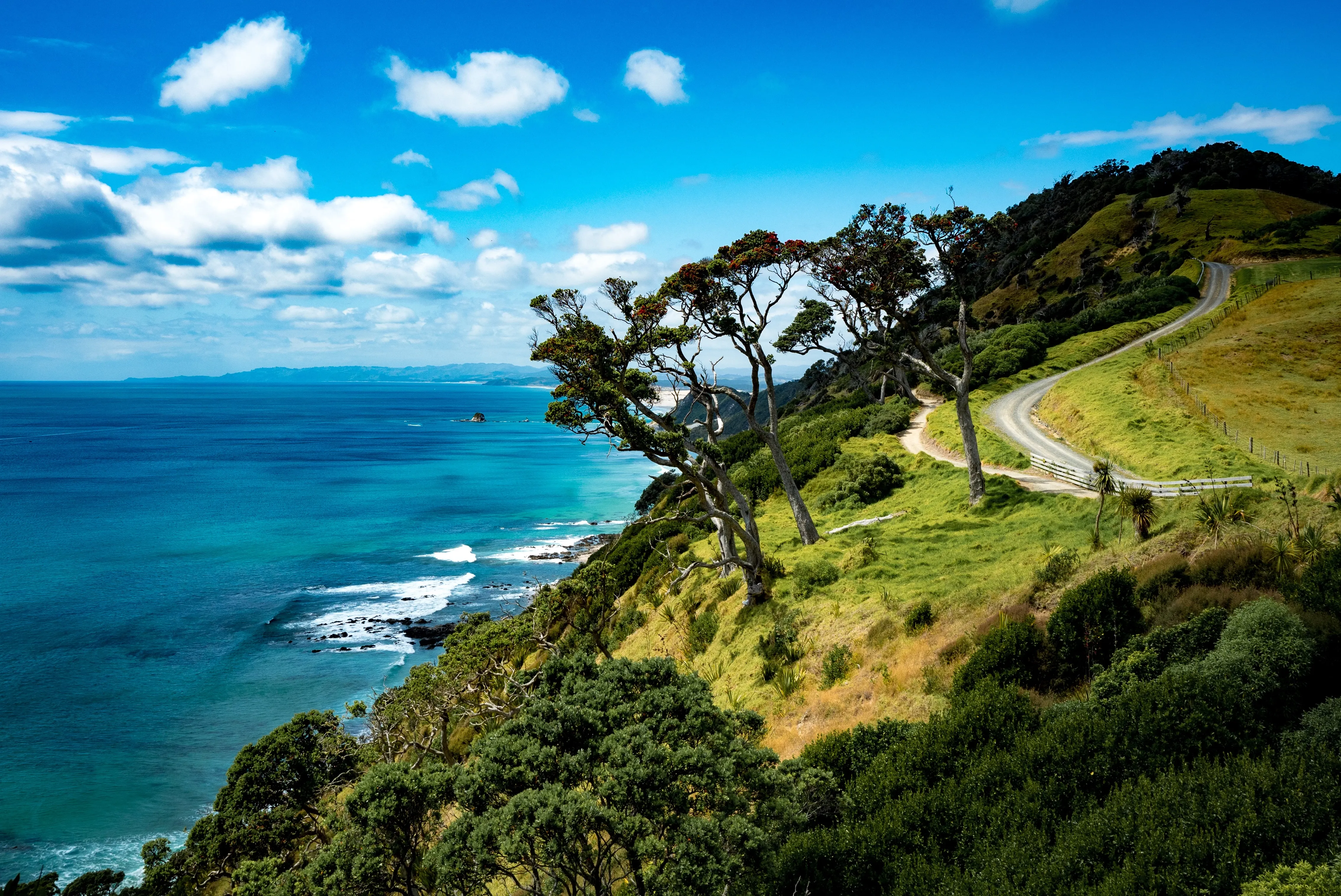 Mangawhai