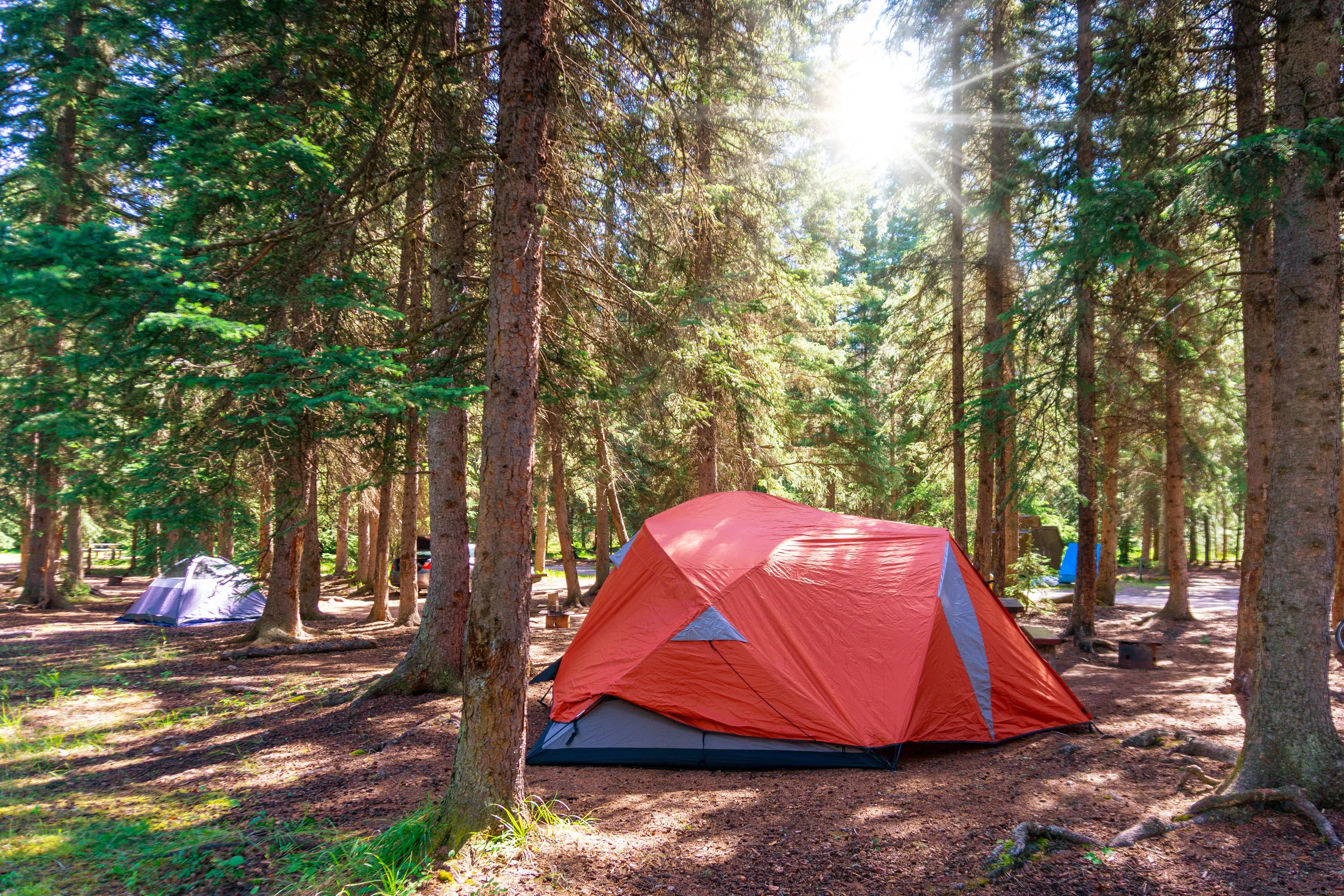 camping in banff national park