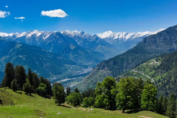 Himalayan Forest Perspective