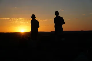 Species Introduction: European wolf