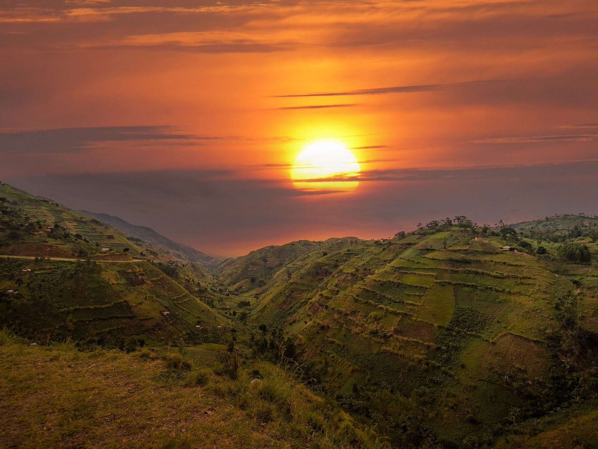 bwindi impenetrable forest
