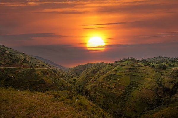 bwindi impenetrable forest