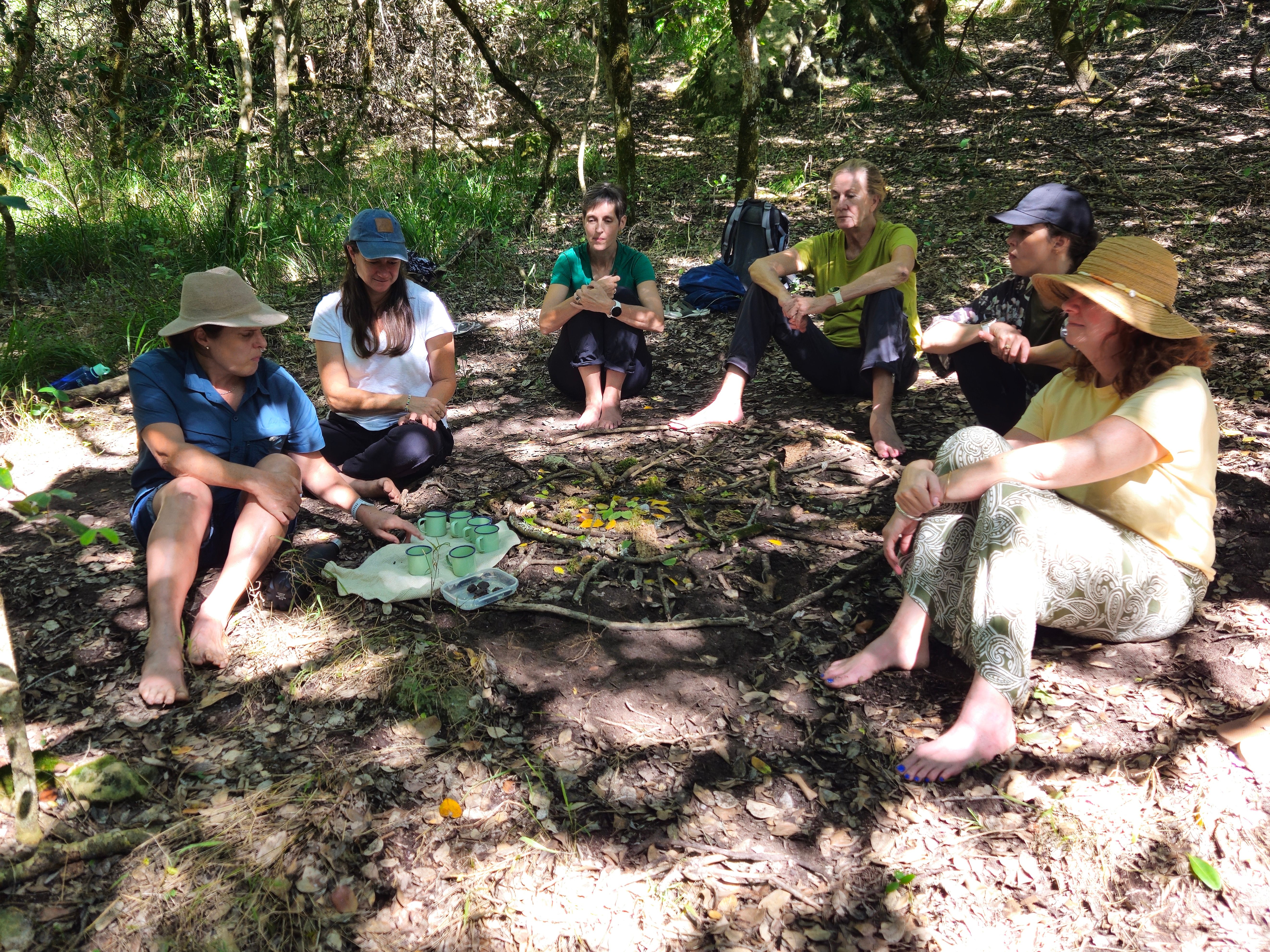 Eine Gruppe macht Mittagspause im Busch