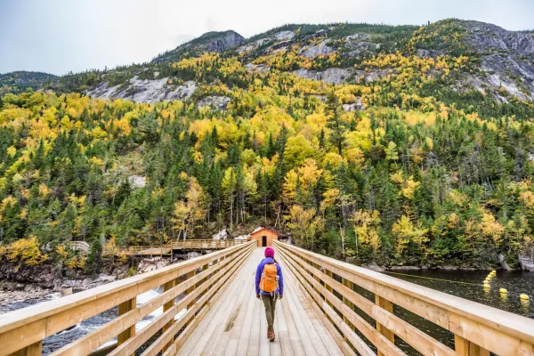 Hiker walking towards forest