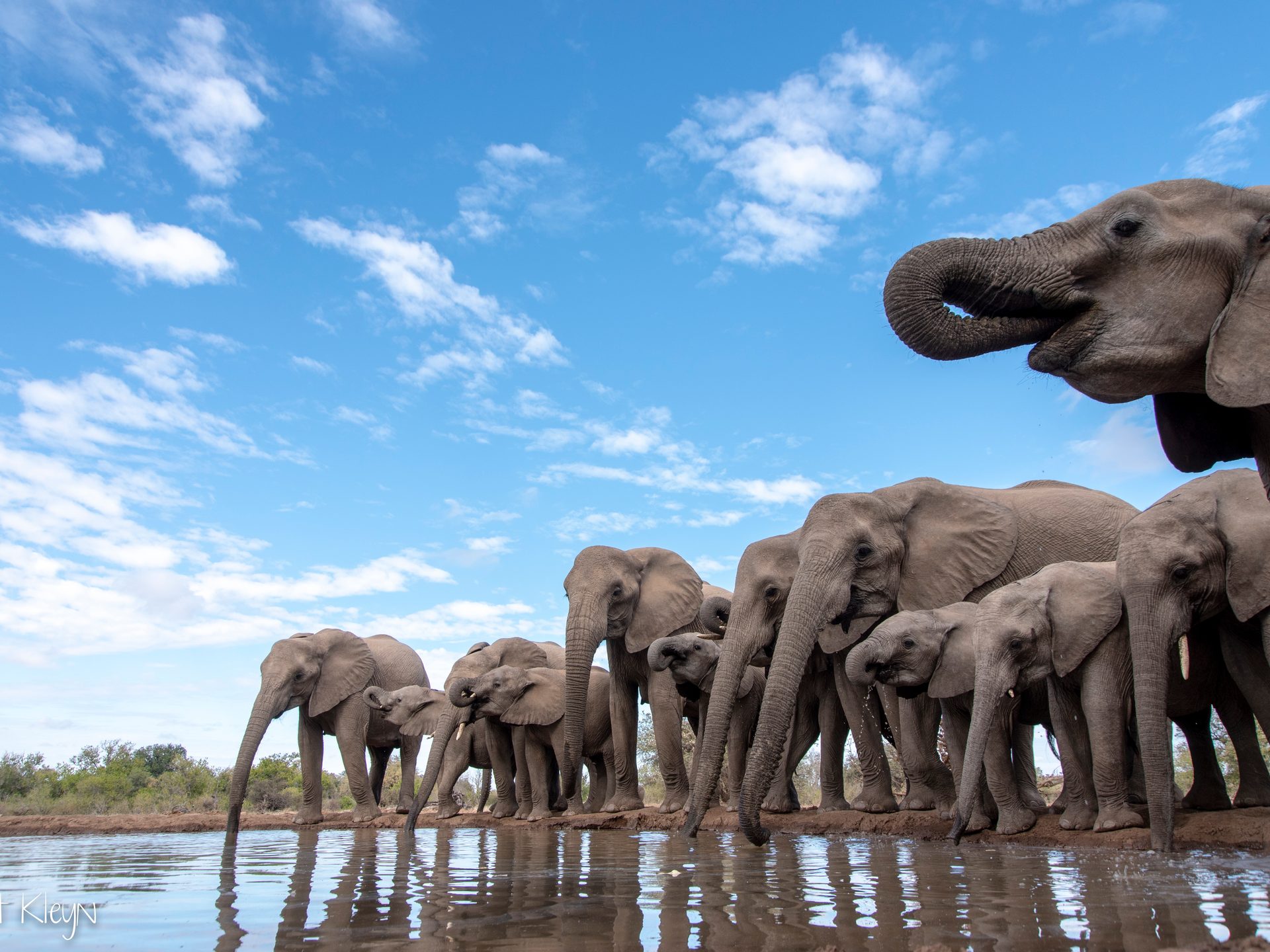Elephant watering holes