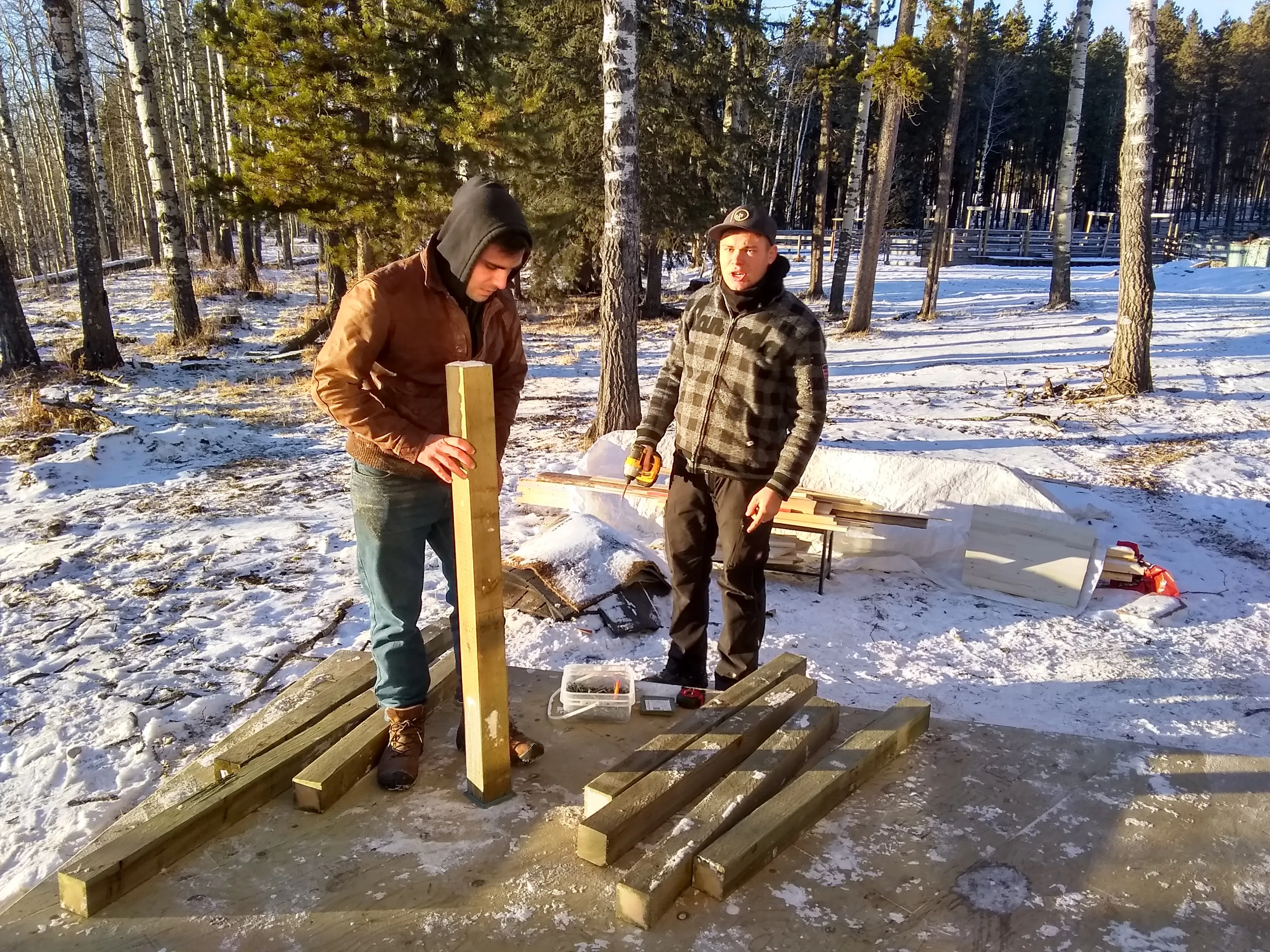 Freiwilligenprojekt Alberta Pferdeschutz, Kanada