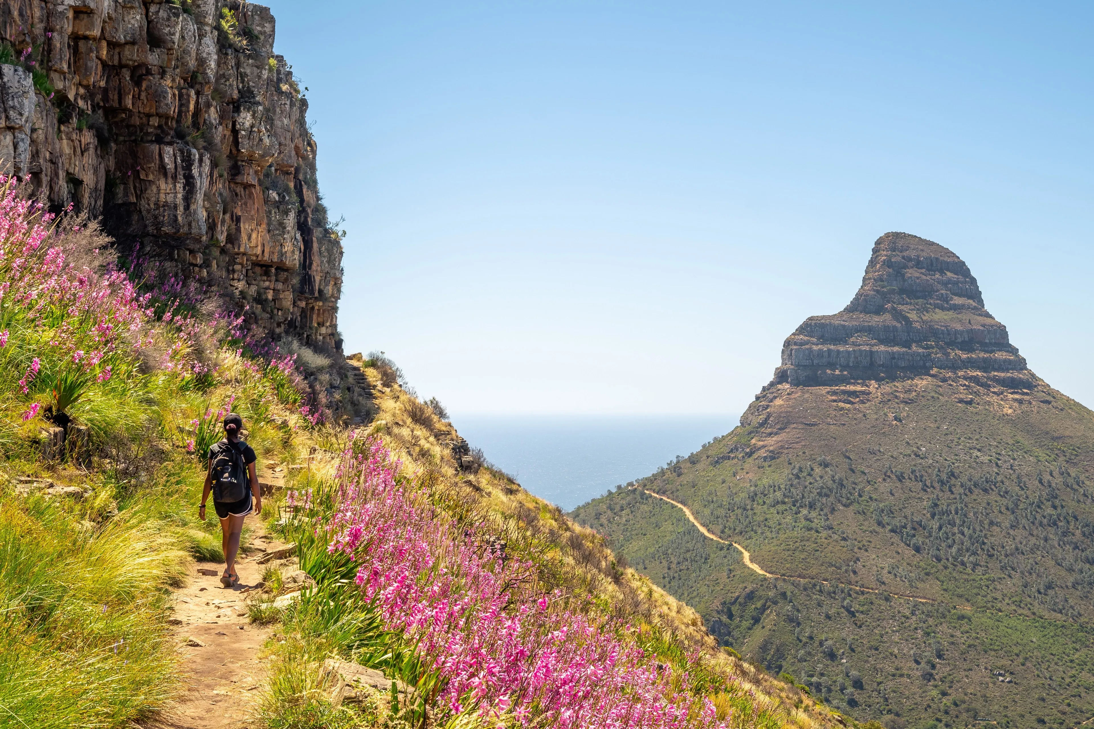Hiker walking mountain with lions head in background