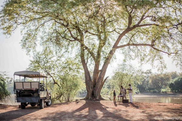 Game drive activity