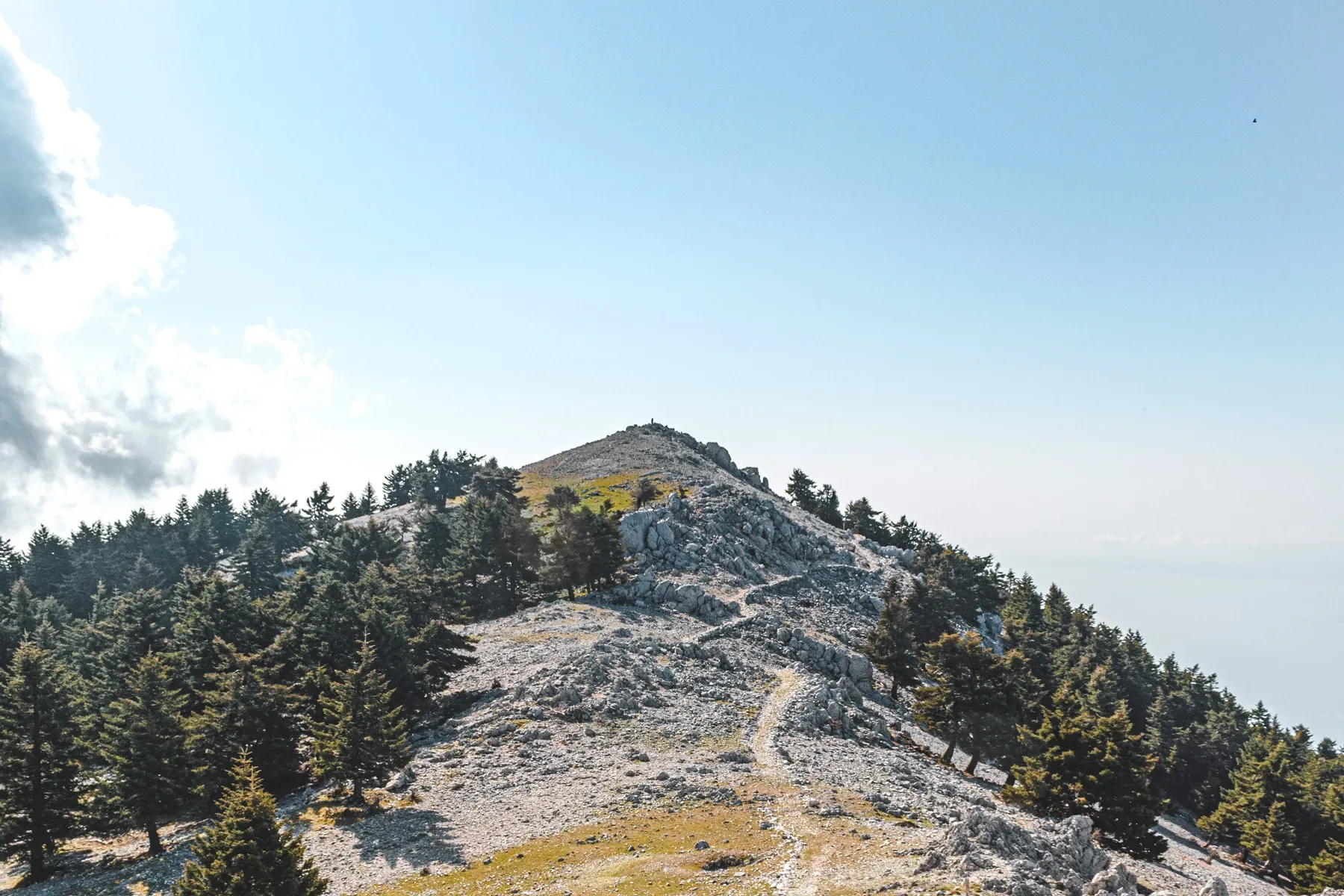 Freiwilligenprojekt Meeresschildkrötenschutz, Griechenland