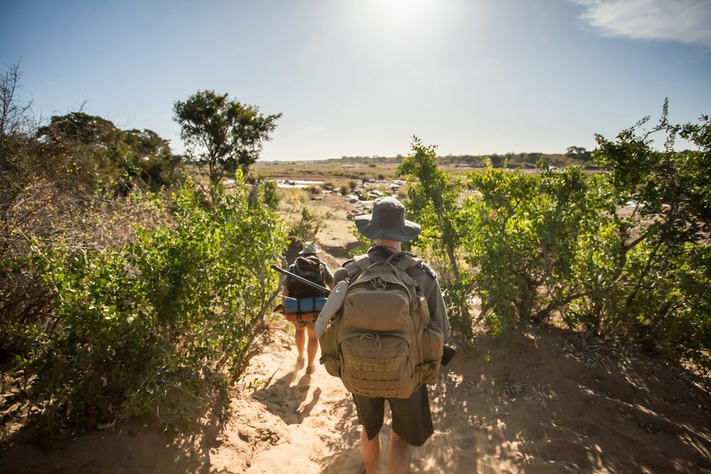 Guide Courses in Southern Africa
