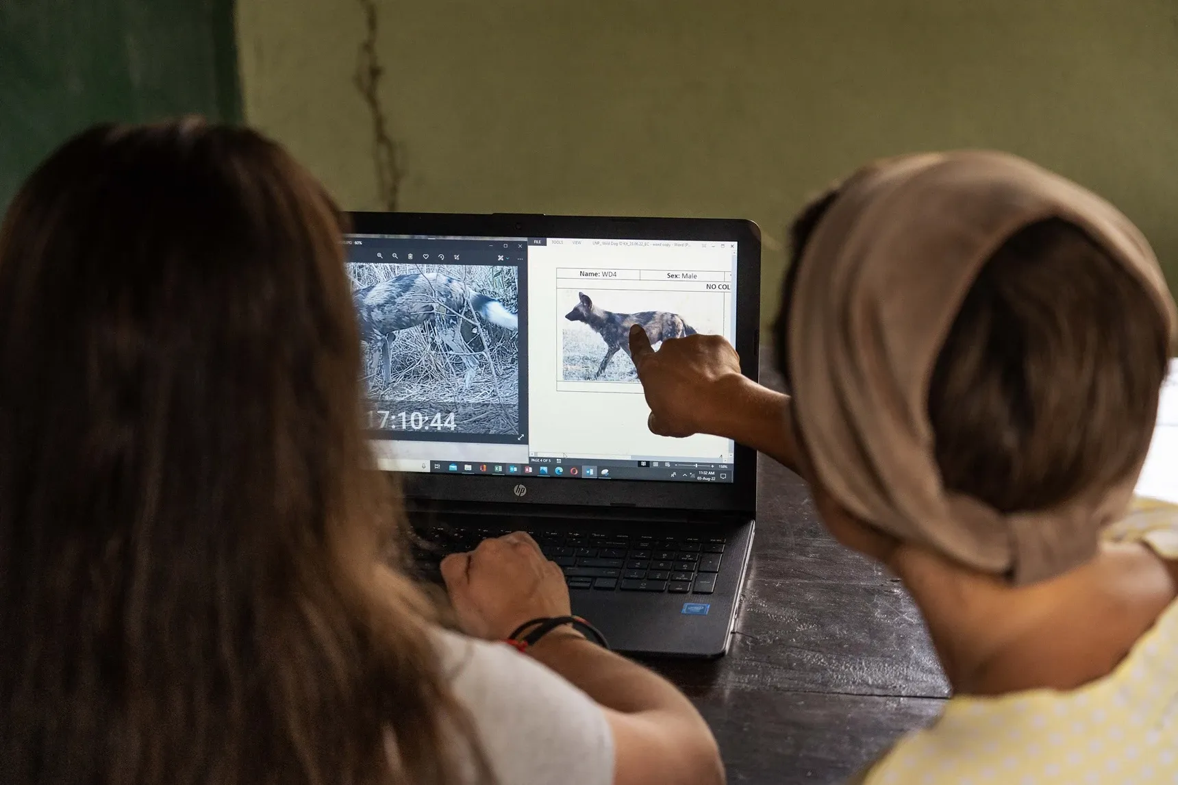 Researchers analysing data