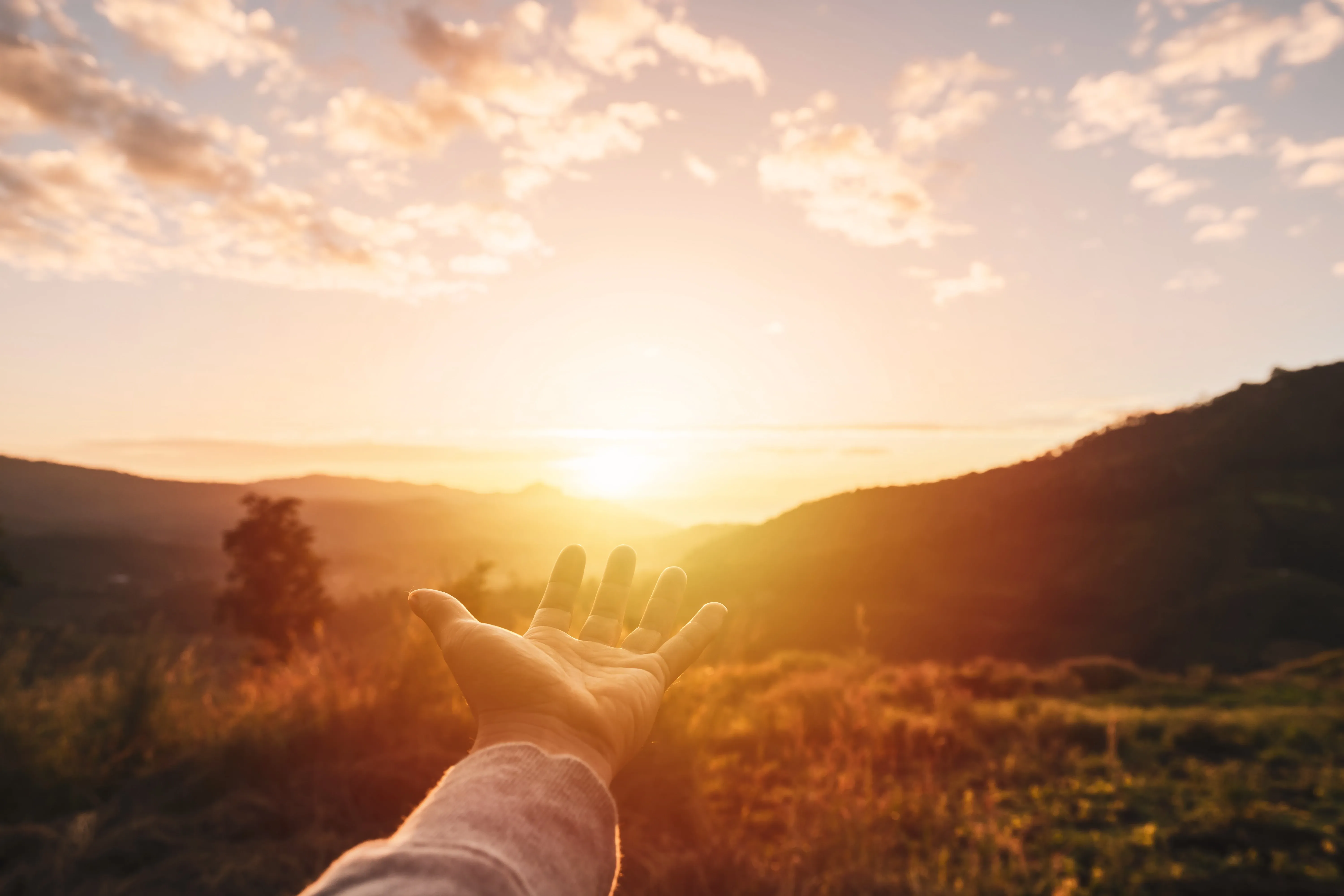 hand reaching to sun