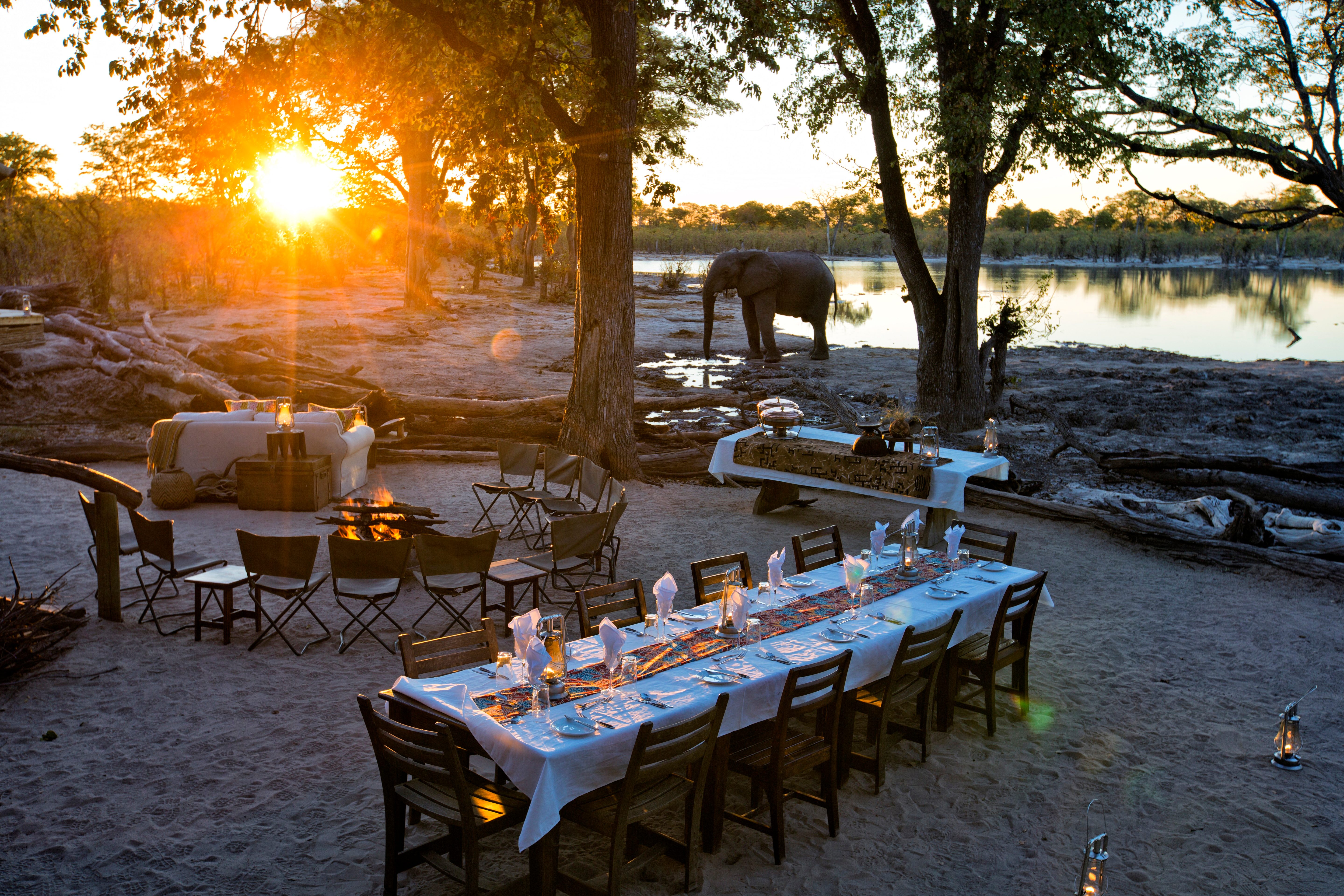 elephant pan dinner table